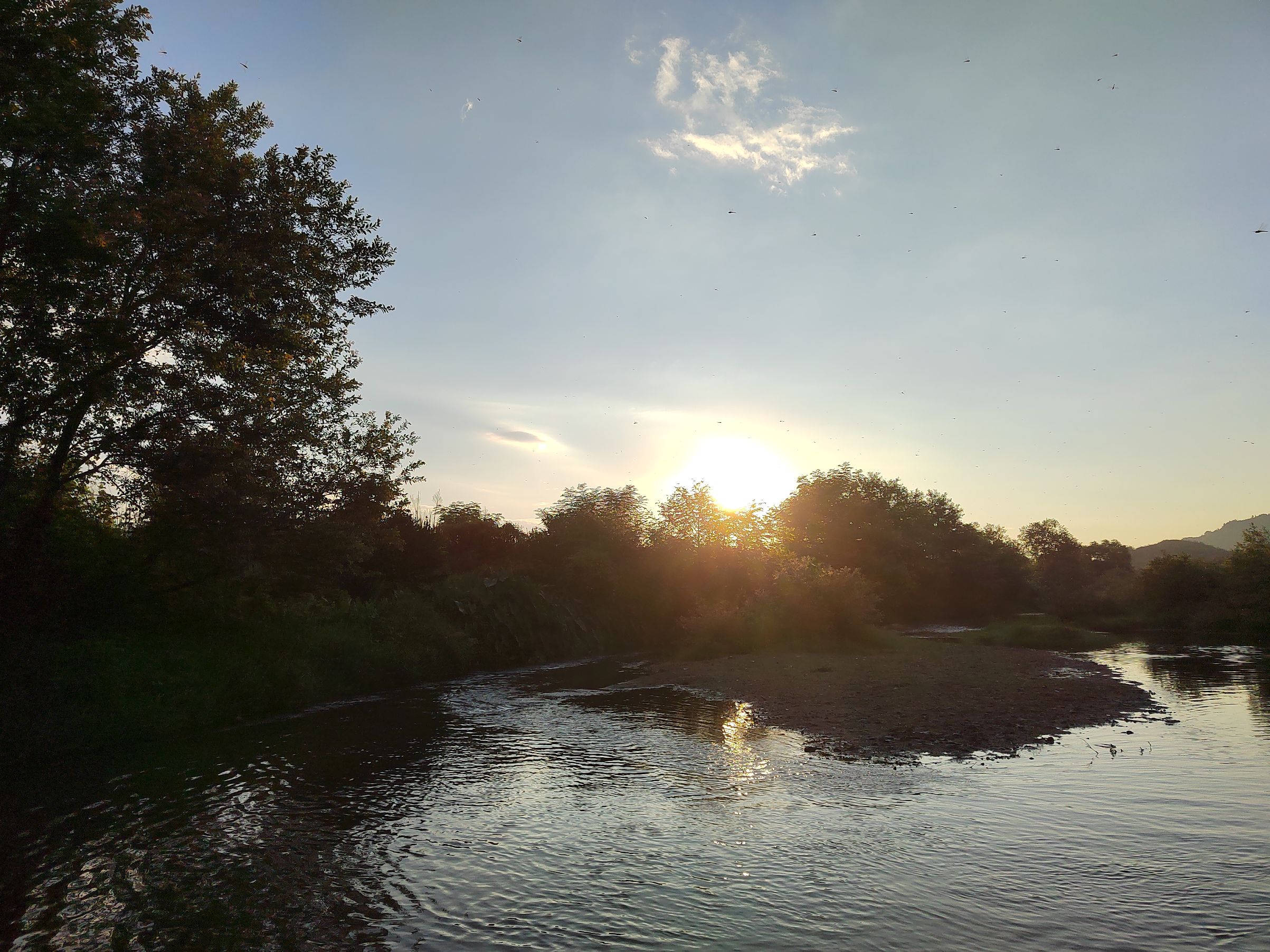 IMG_20210727_061056.jpg