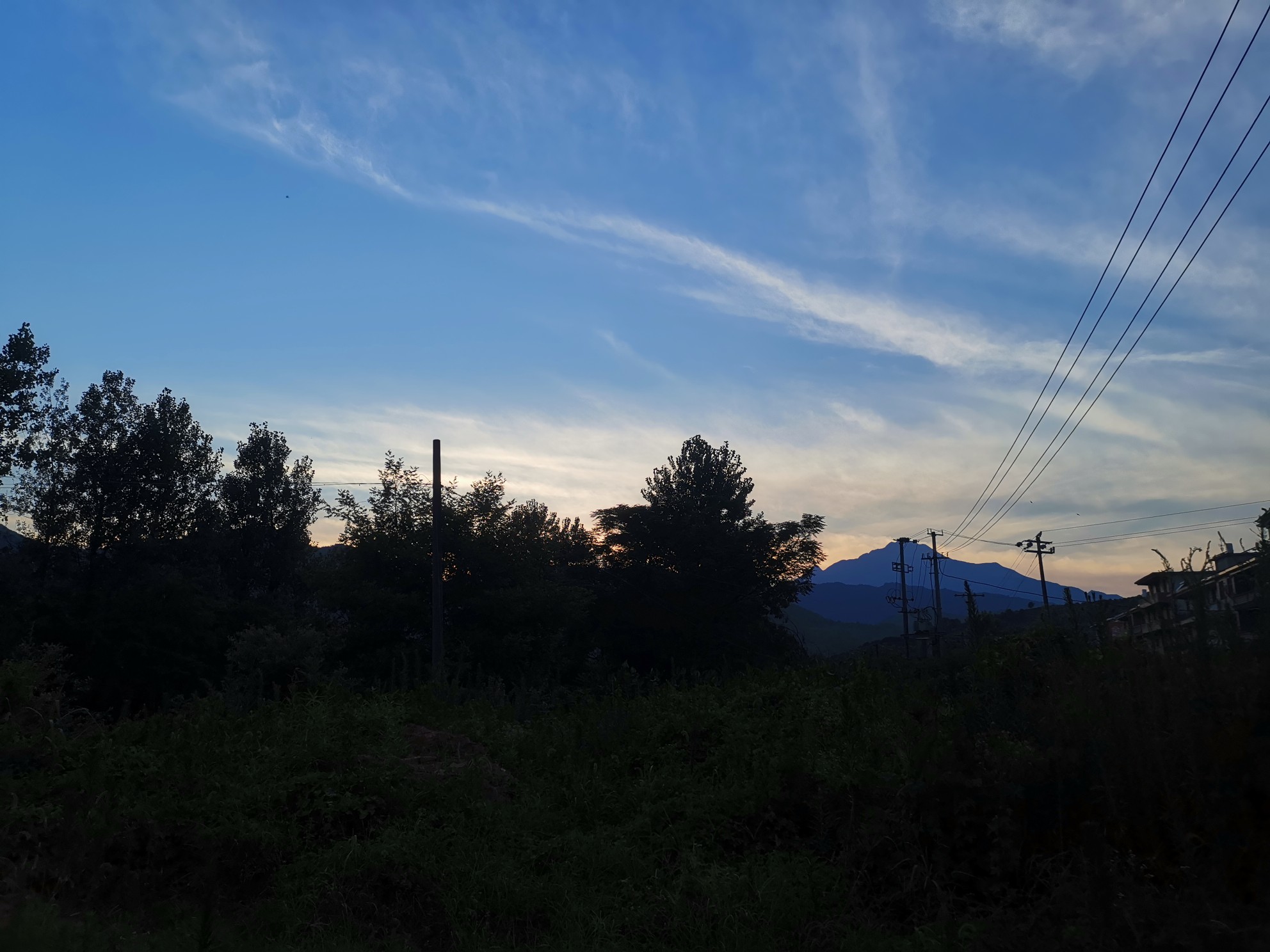 IMG_20210710_190341.jpg
