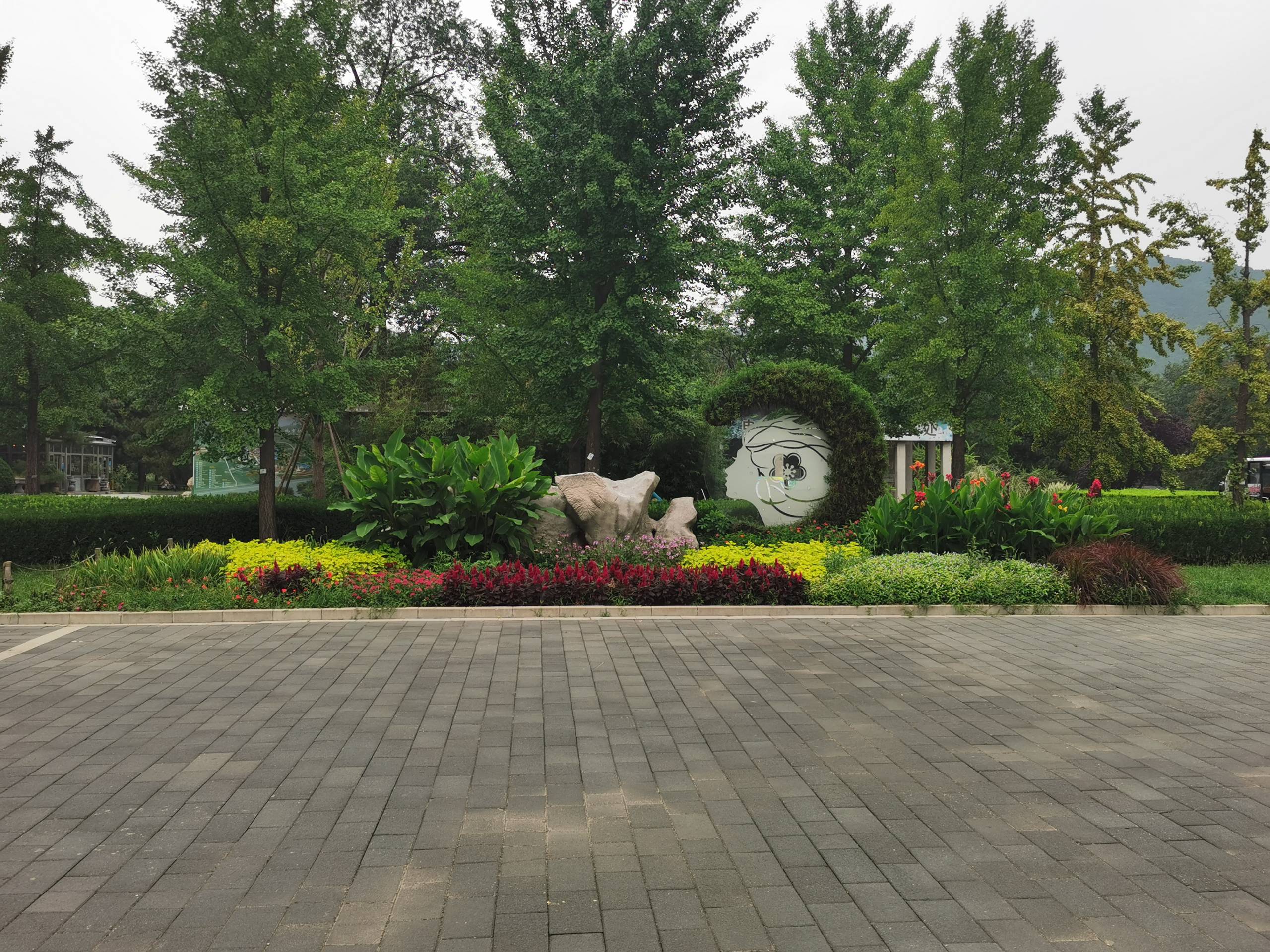 IMG_20210818_113610.jpg
