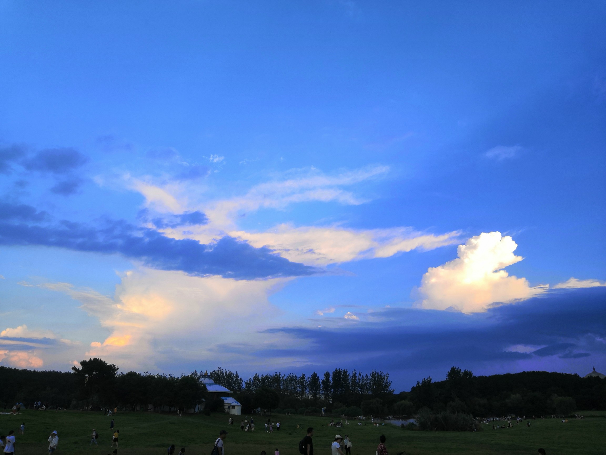 IMG_20200816_182651.jpg