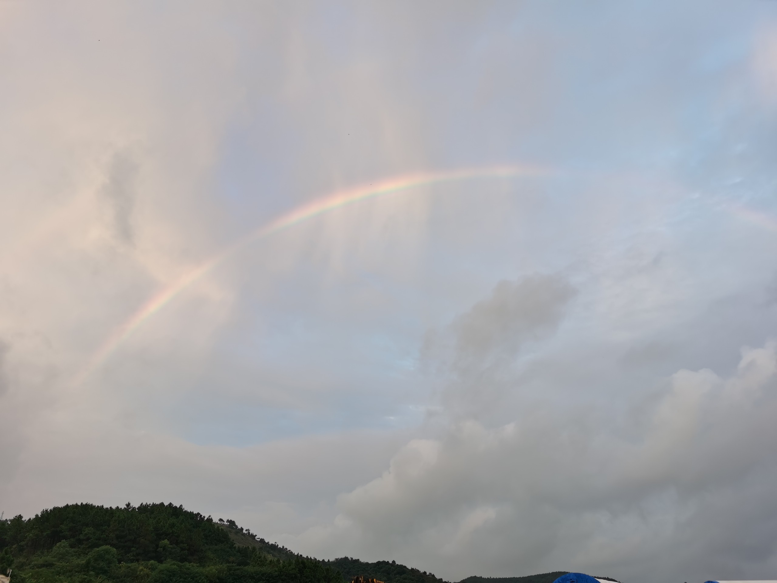 IMG_20210815_185230.jpg