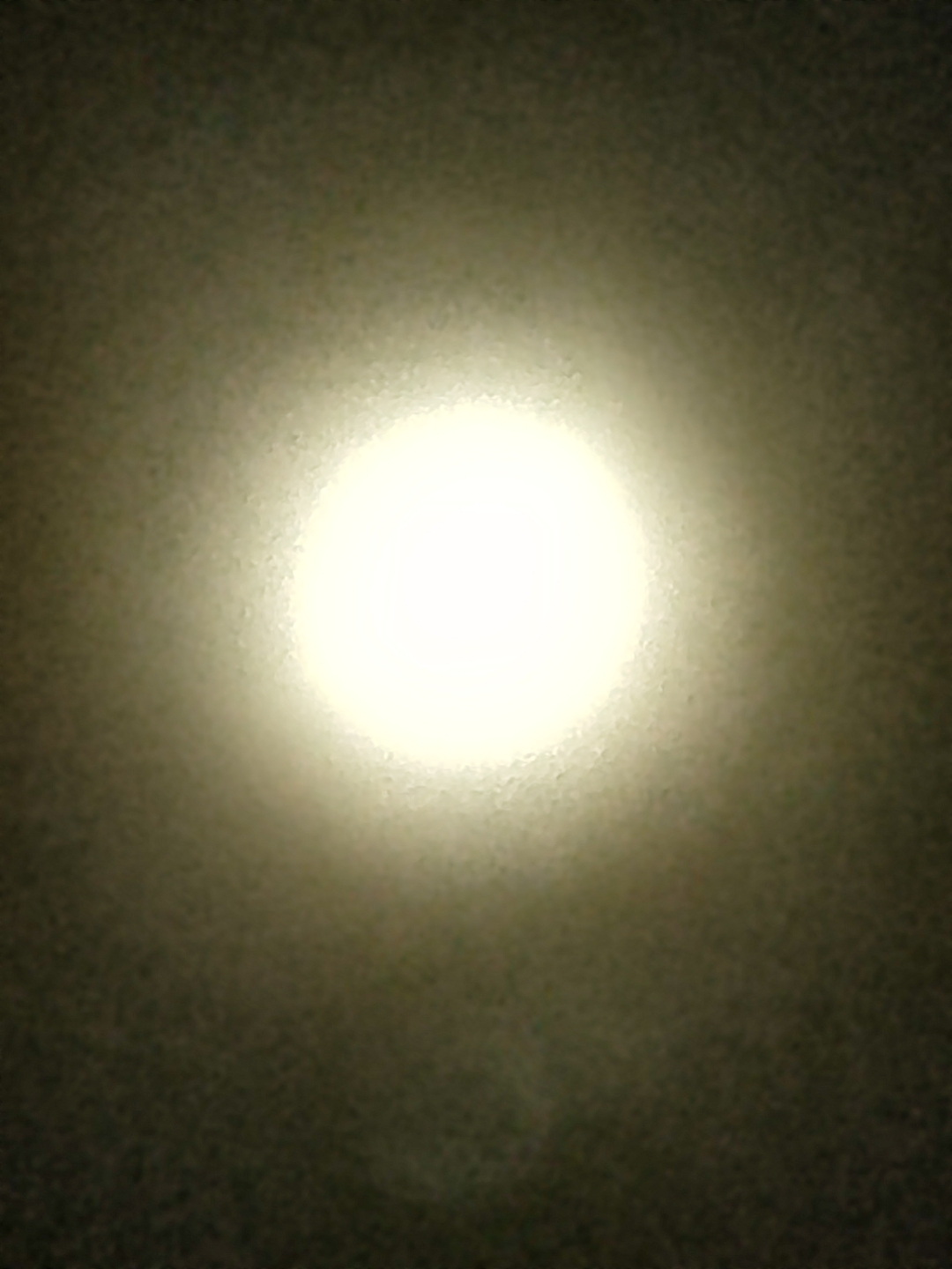 IMG_20210820_232931.jpg