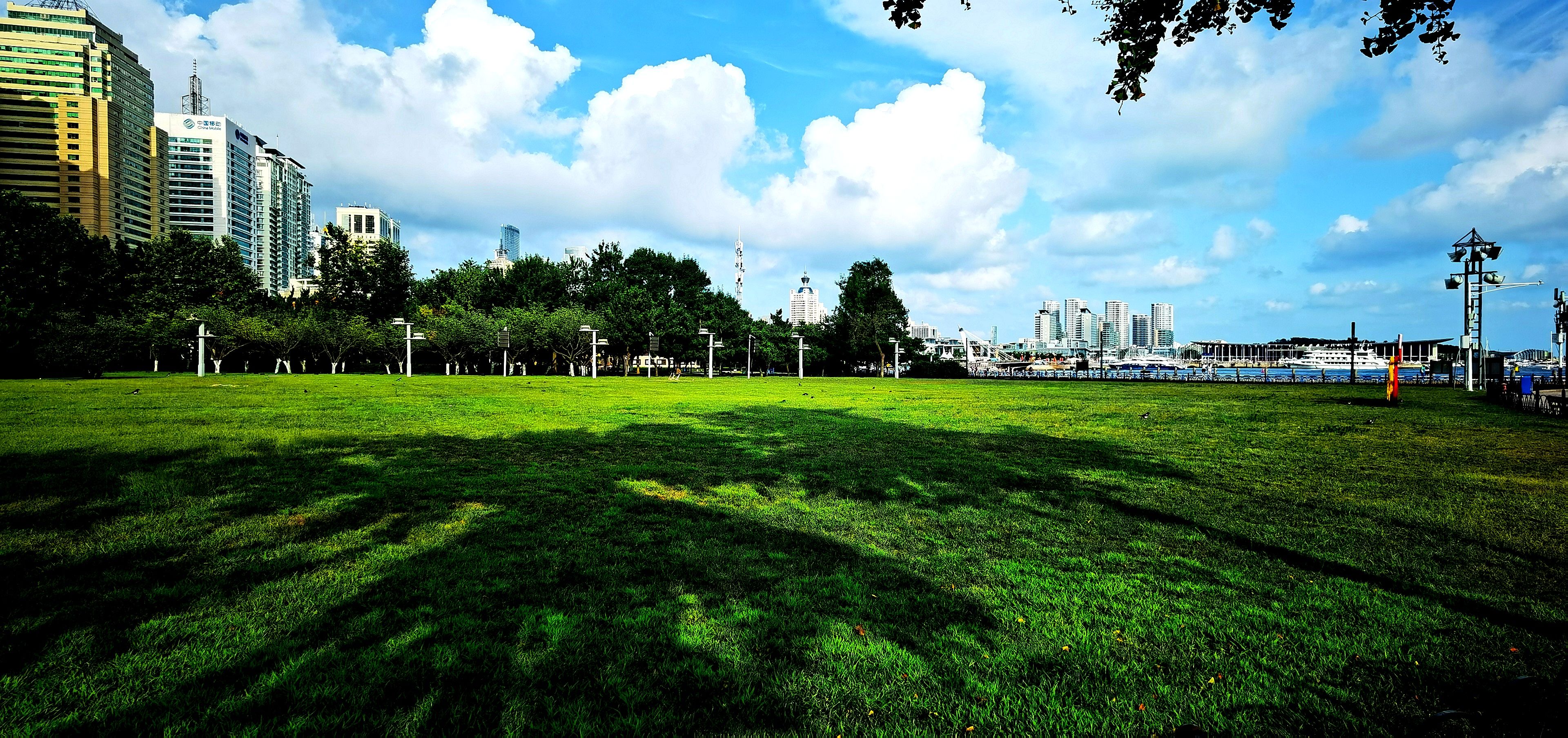 IMG_20210819_174138.jpg