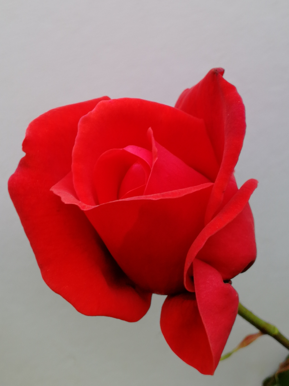 IMG_20210418_073413.jpg