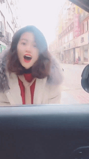 变猪.gif