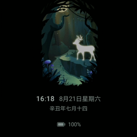 6D.gif