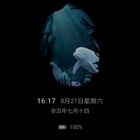 4D.gif