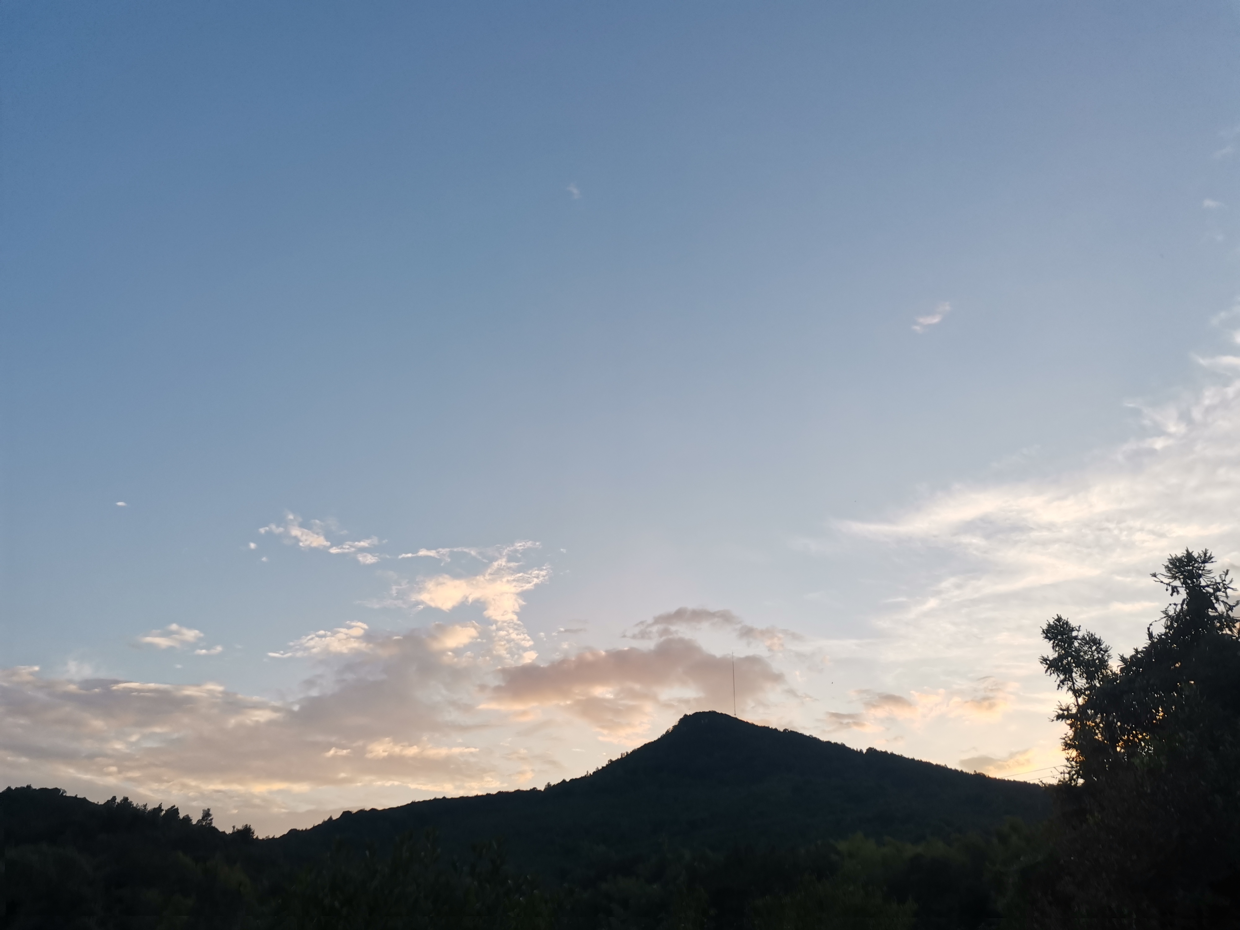 IMG_20210818_185317.jpg