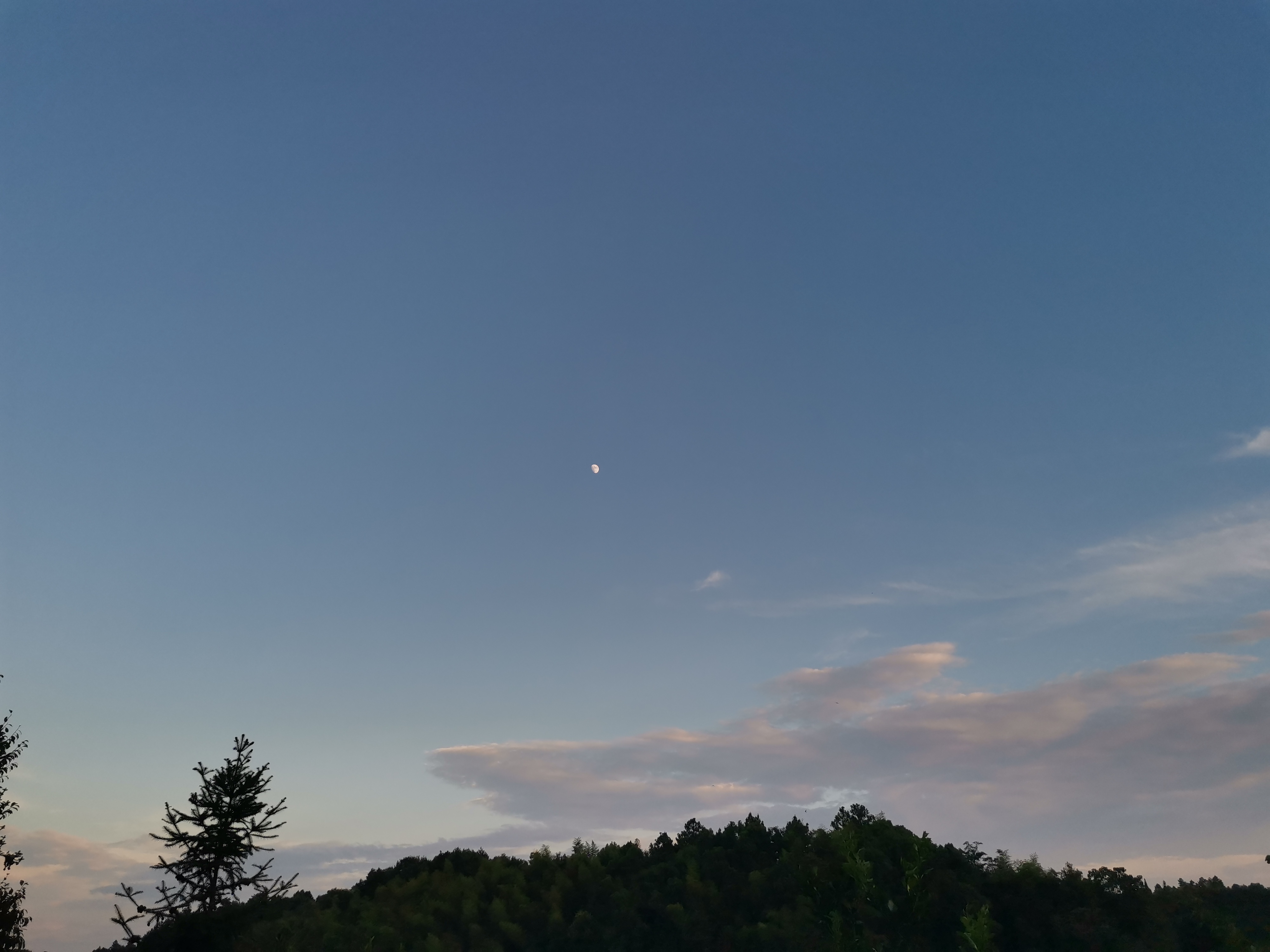IMG_20210818_184401.jpg