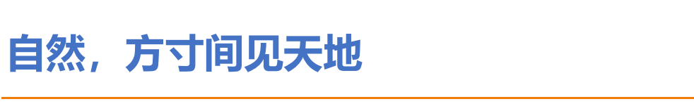 屏幕截图 2021-08-21 230456.png
