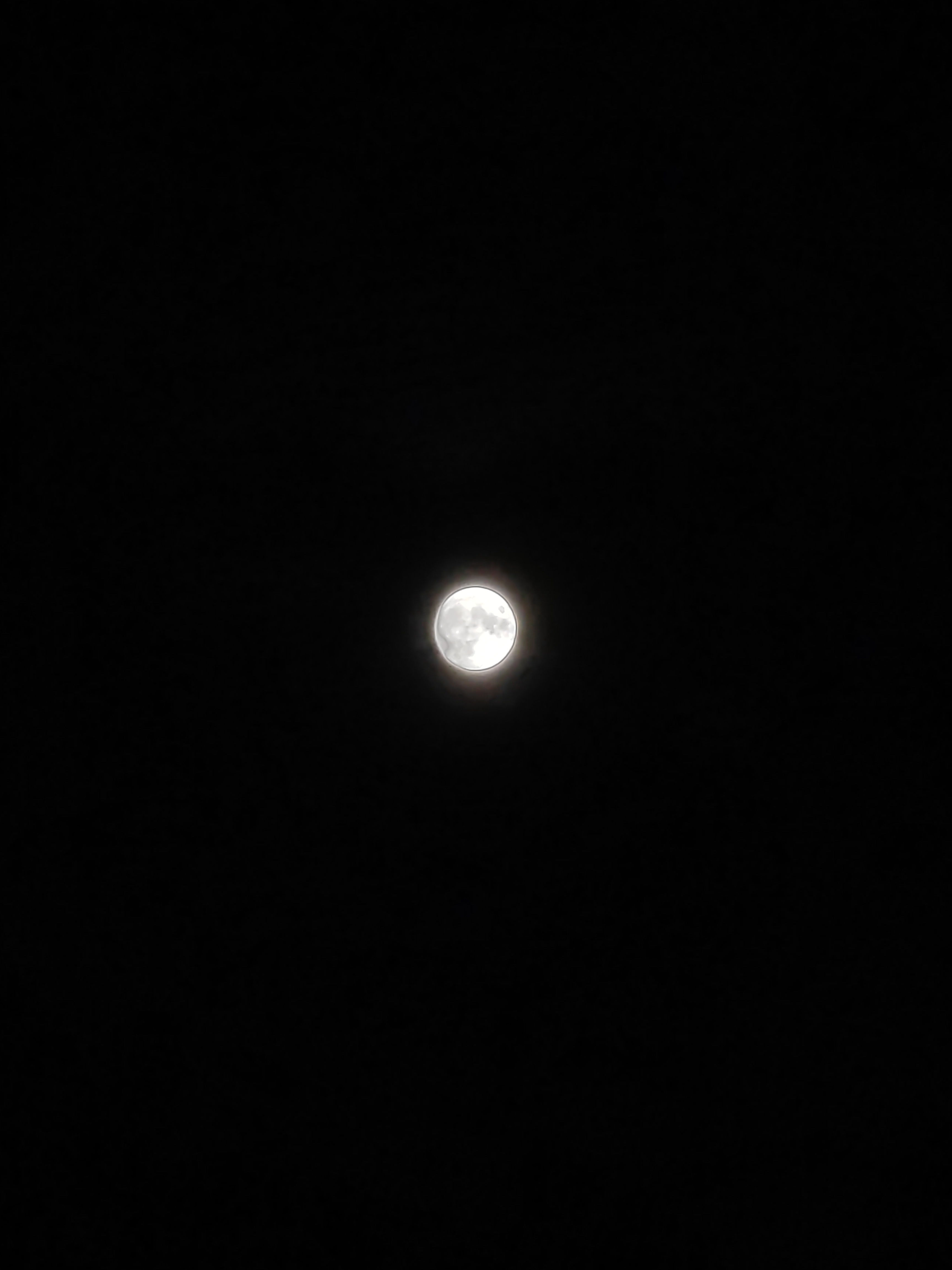 IMG_20210821_205742.jpg.jpg