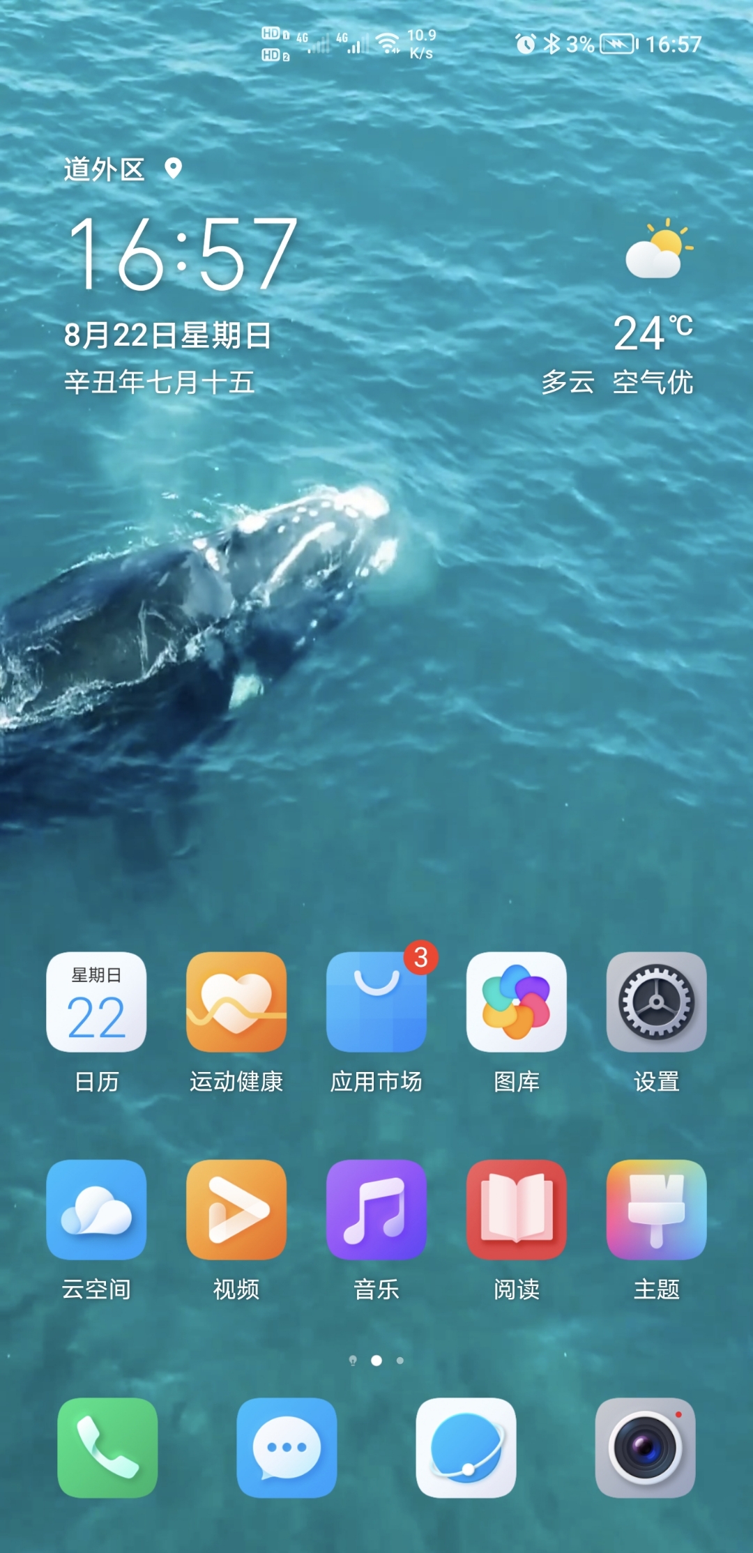 Screenshot_20210822_165756.jpg