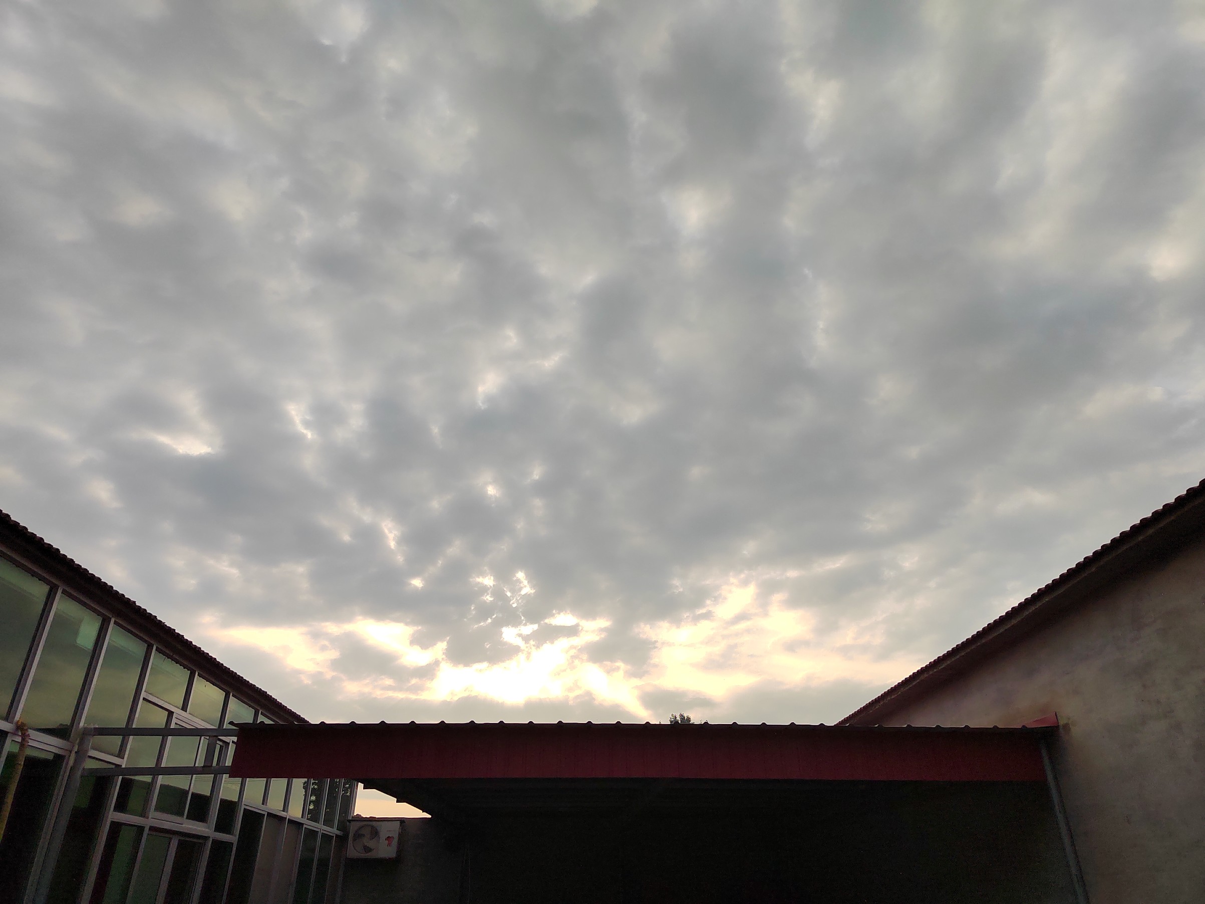 IMG_20210818_070716.jpg