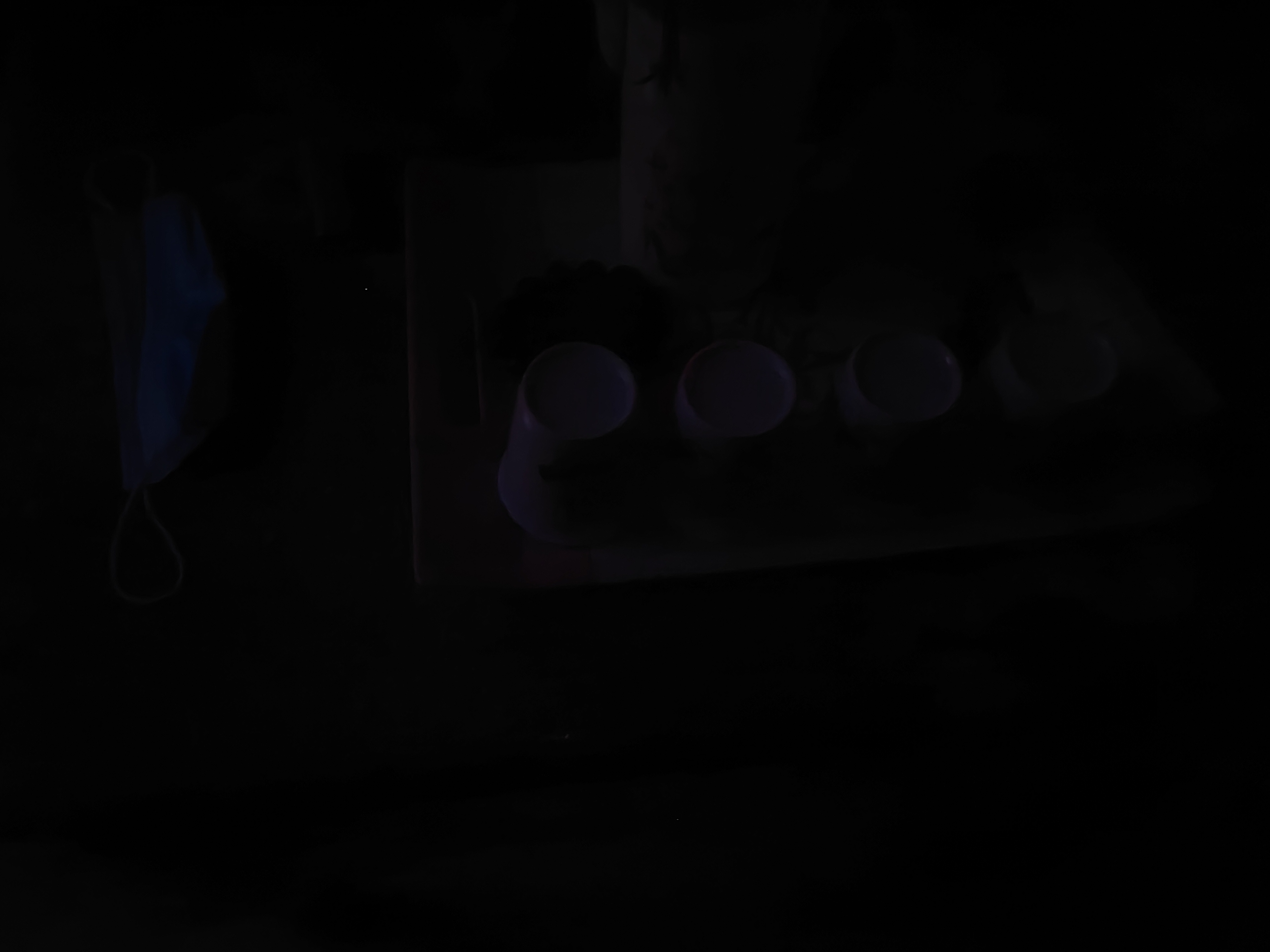 IMG_20210822_201129.jpg