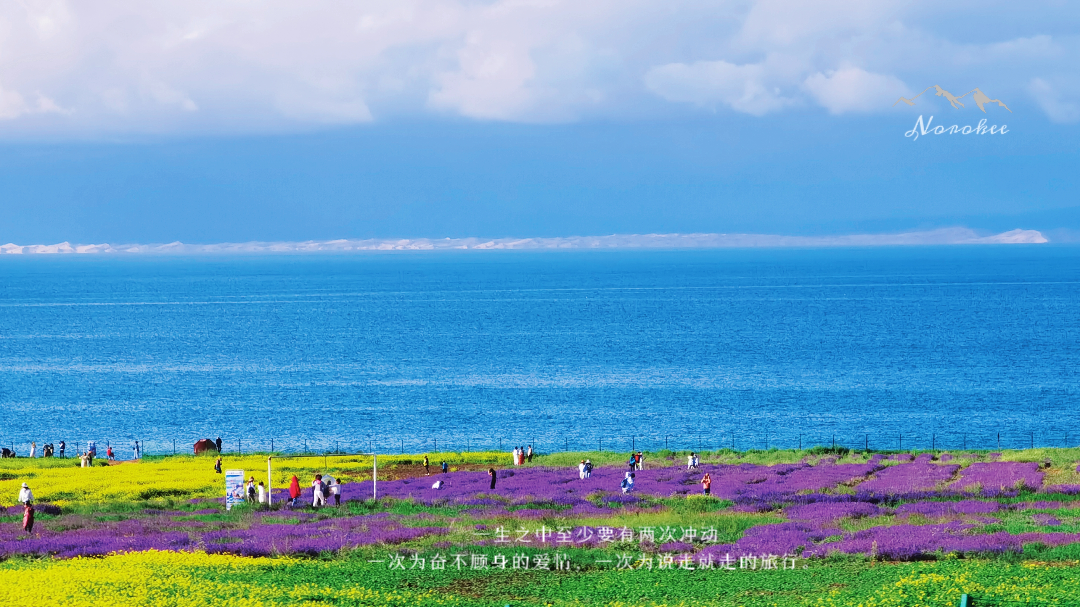 retouch_2021081900002160.jpg