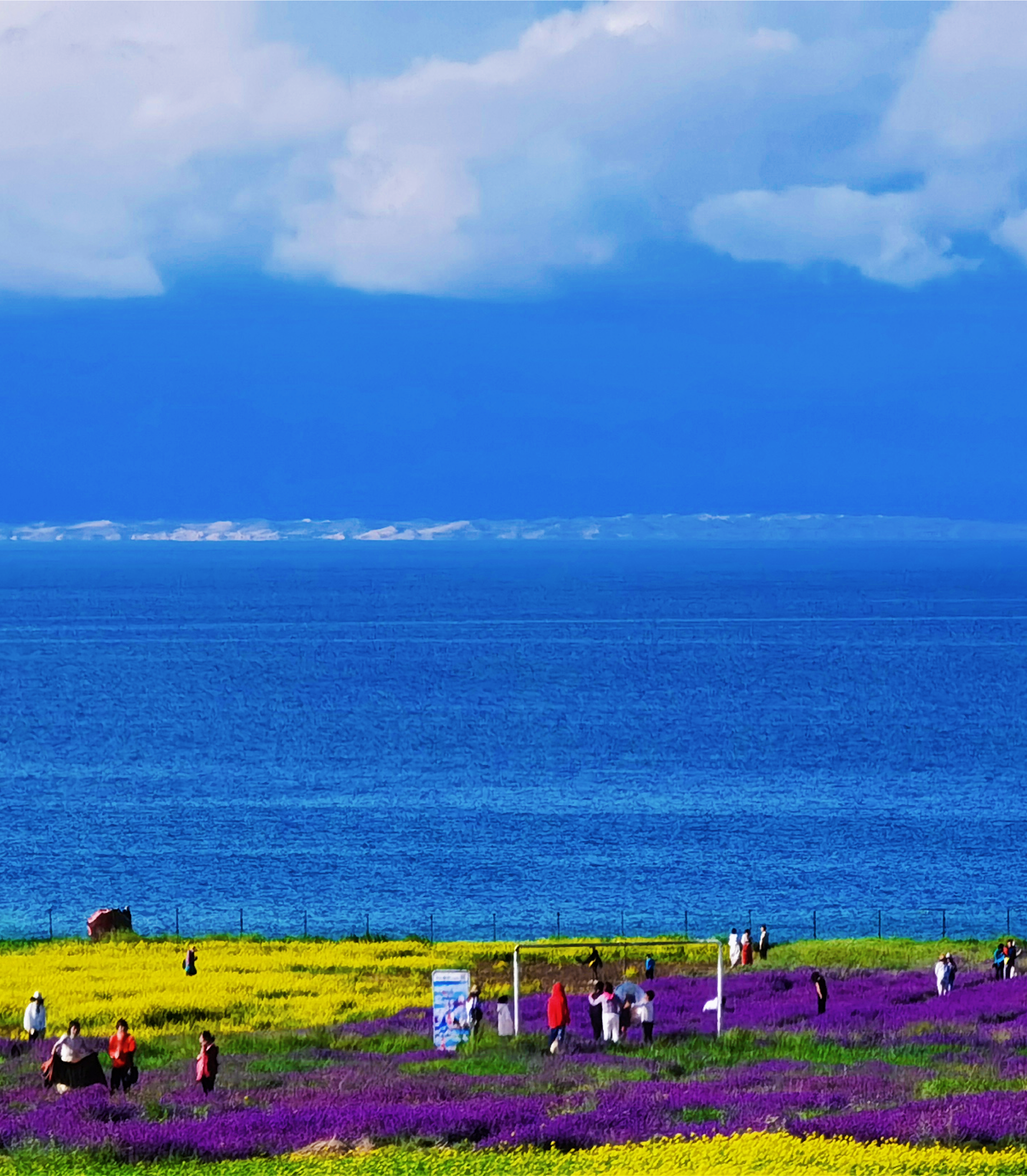 retouch_2021081823565207.png