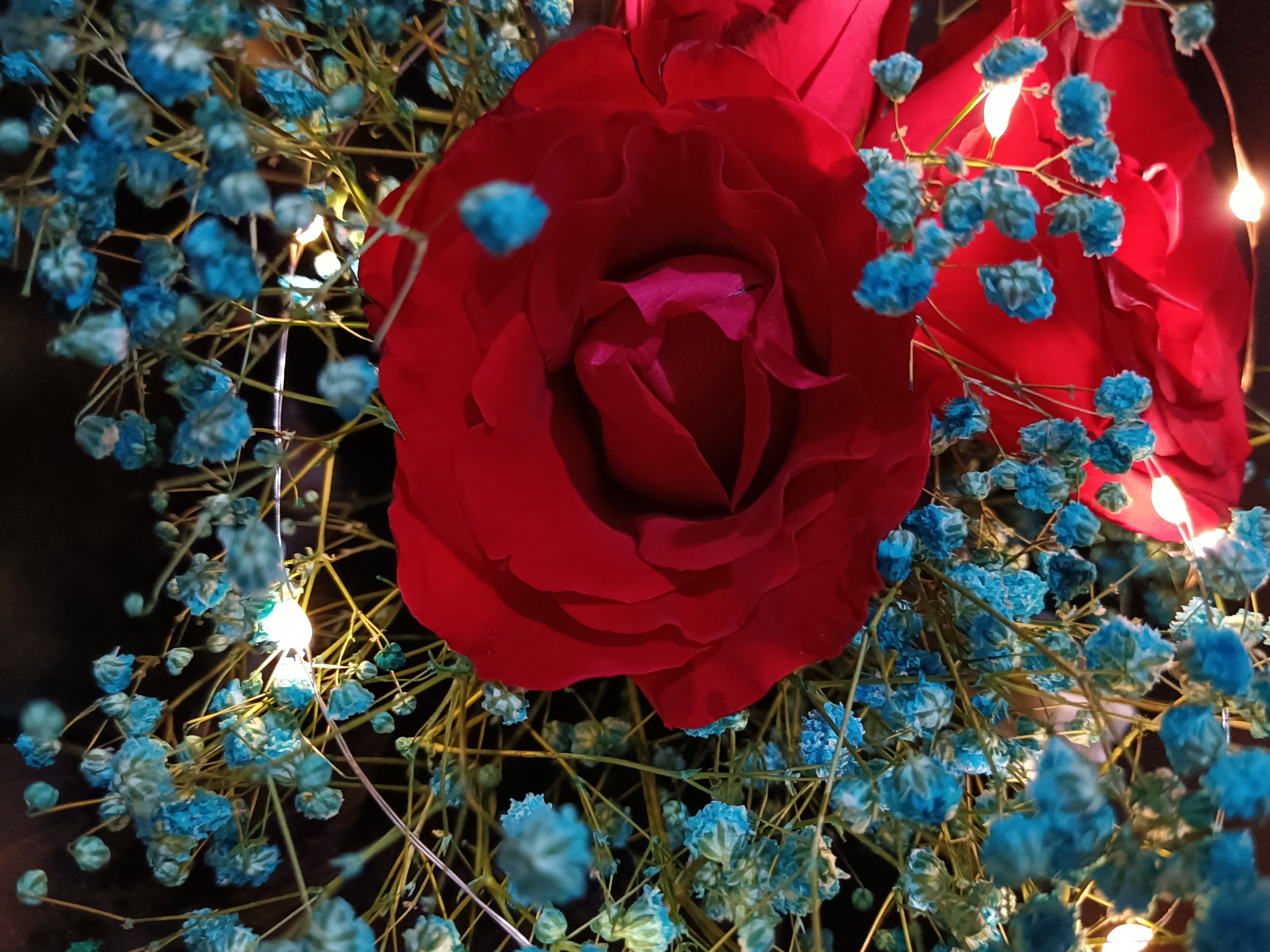 IMG_20210822_220935.jpg