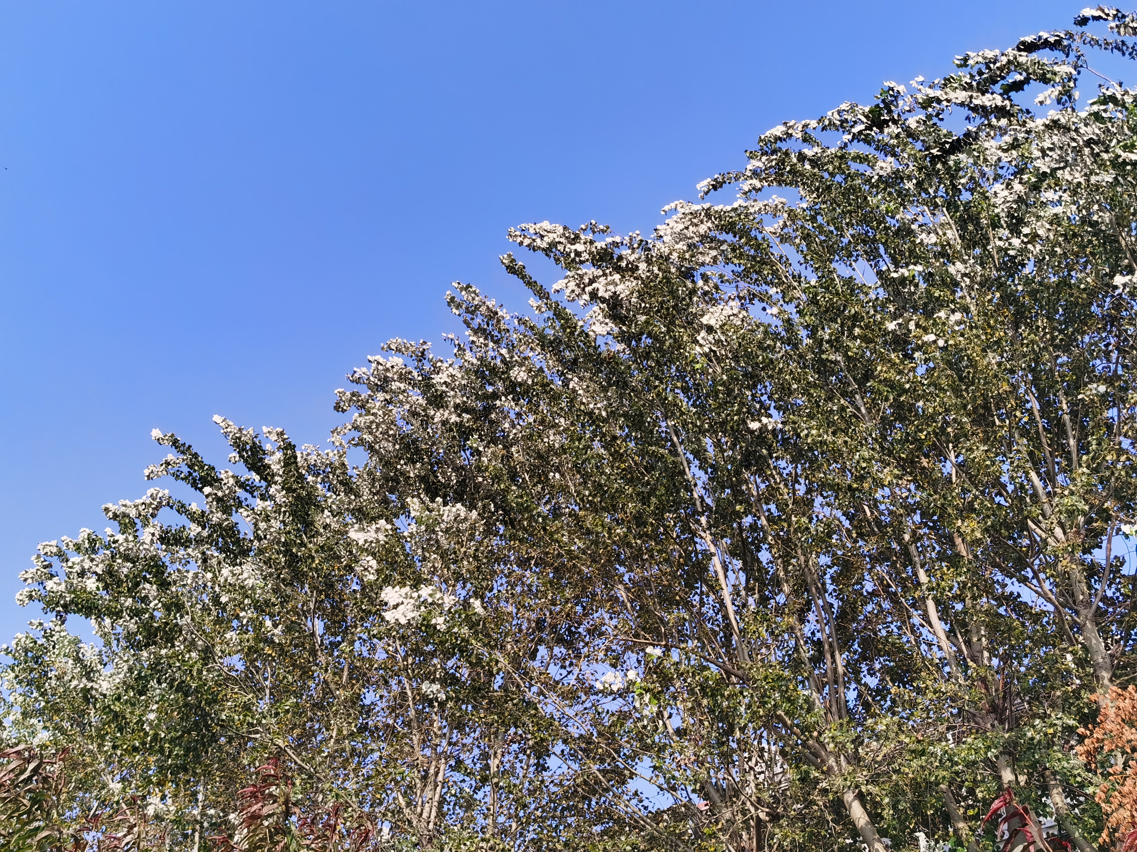 IMG_20210822_161411.jpg