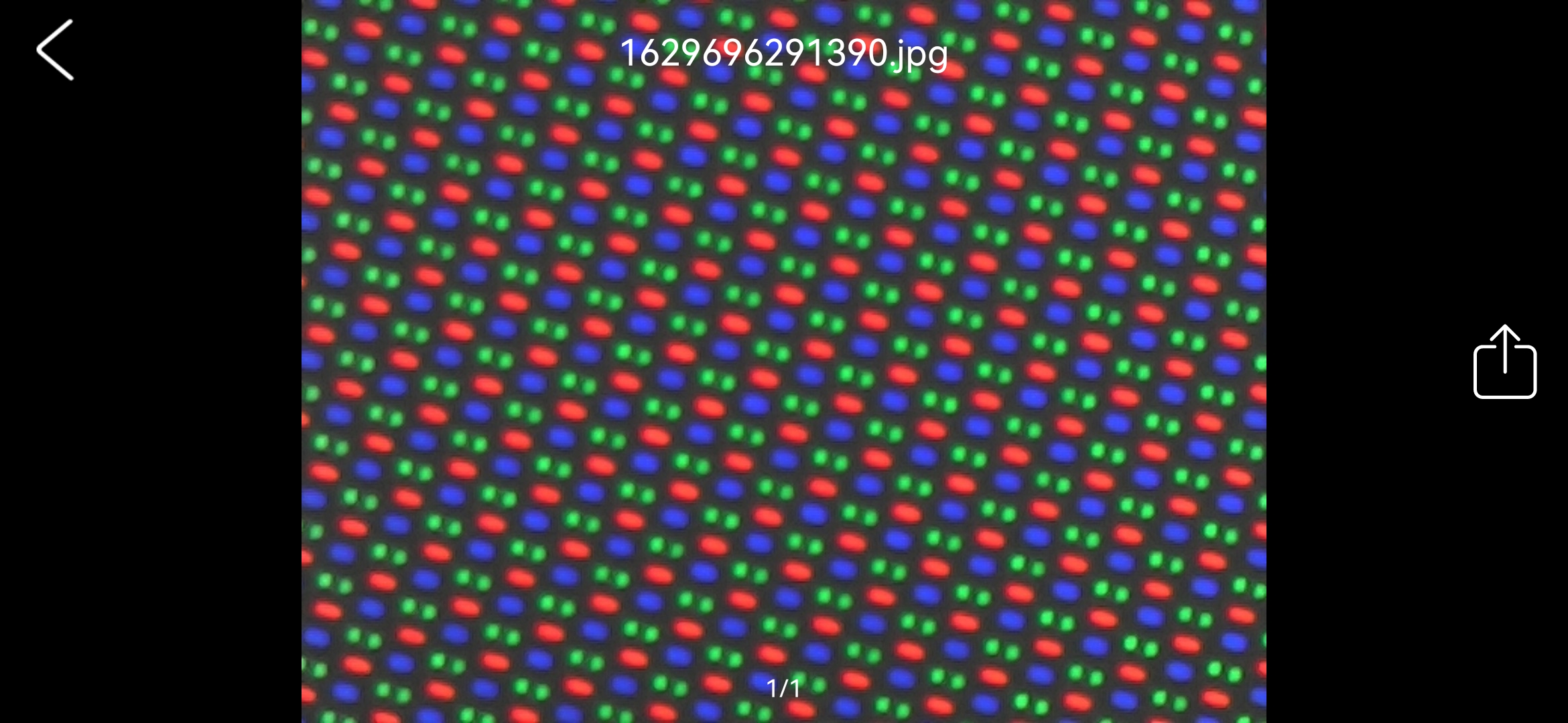 Screenshot_20210823_184905_com.cpwb.usbcamera.jpg