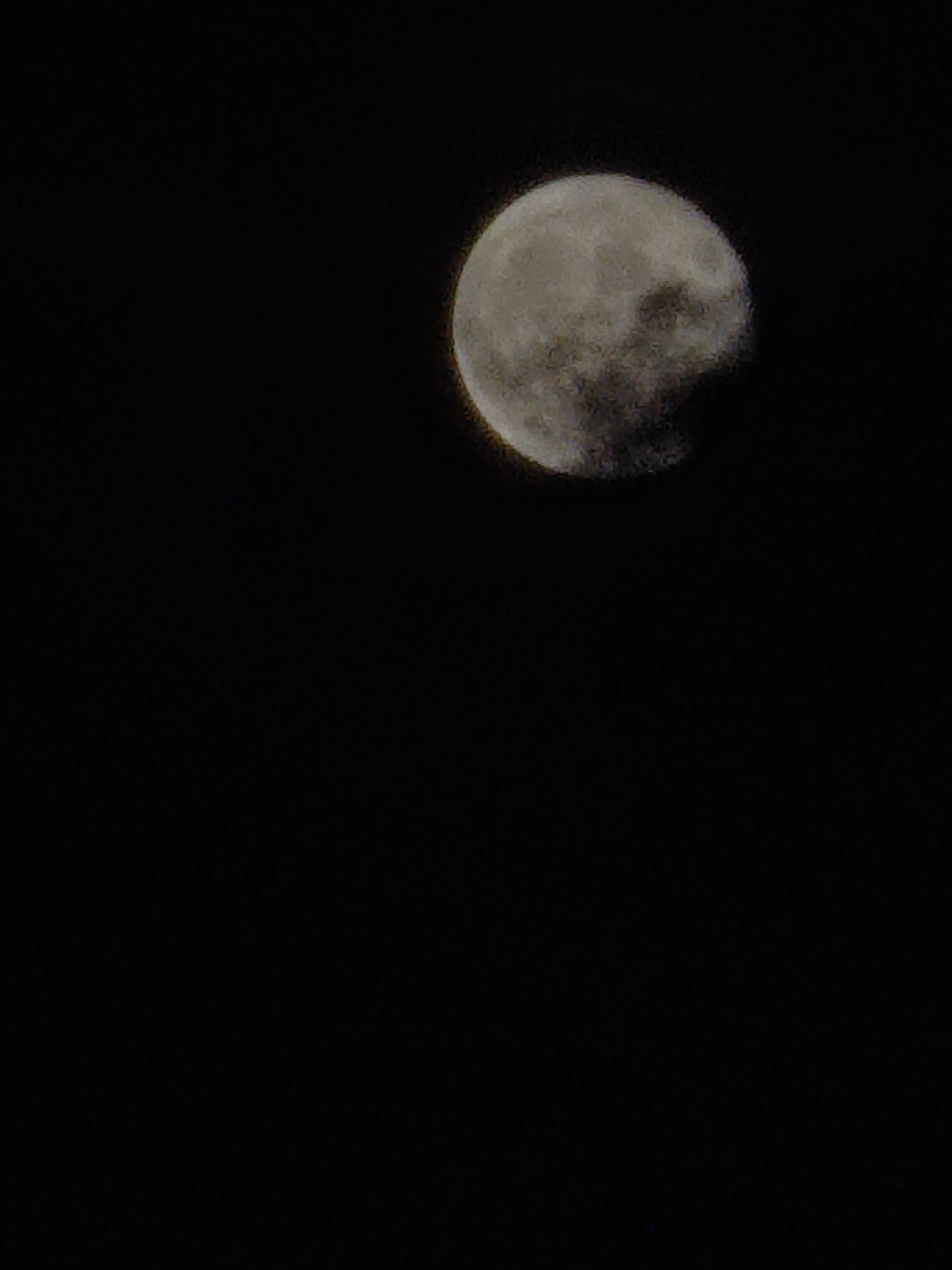 IMG_20210823_221331.jpg
