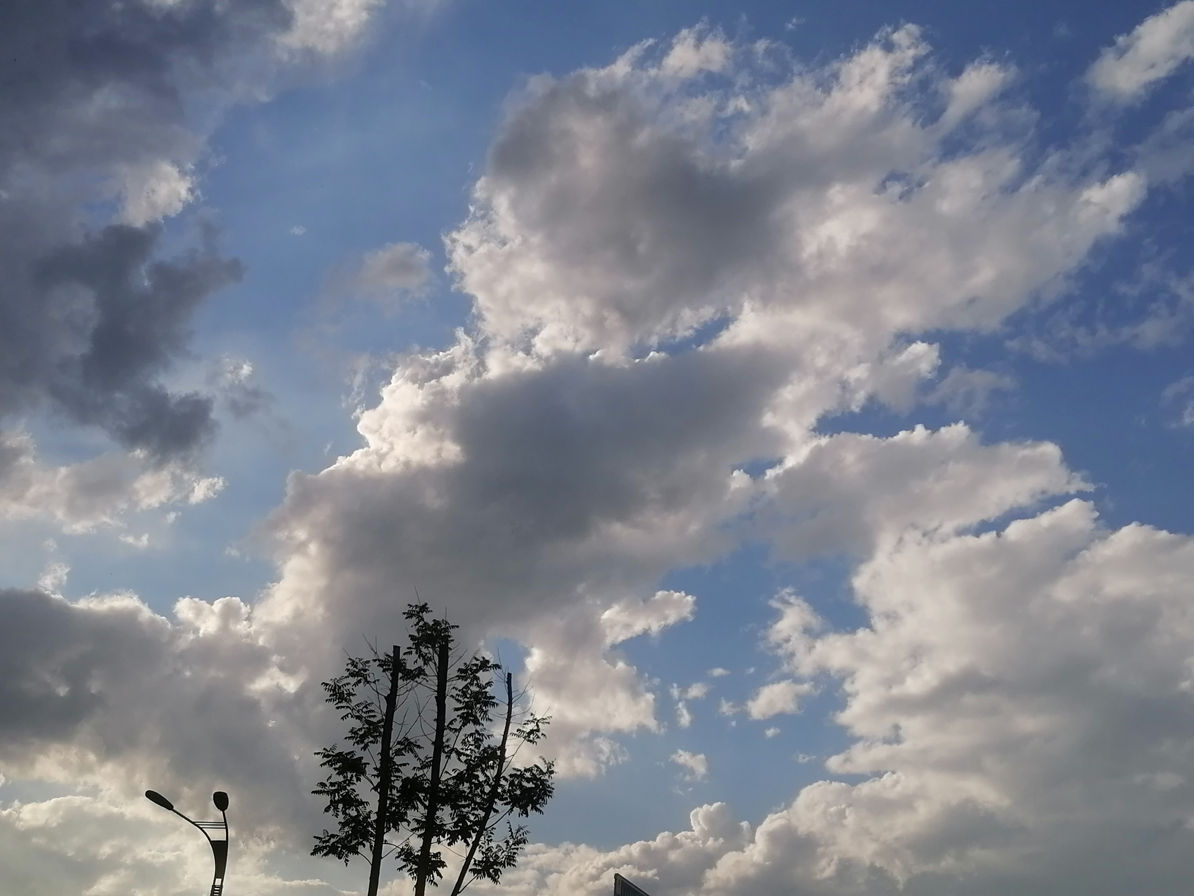 IMG_20210804_175913.jpg