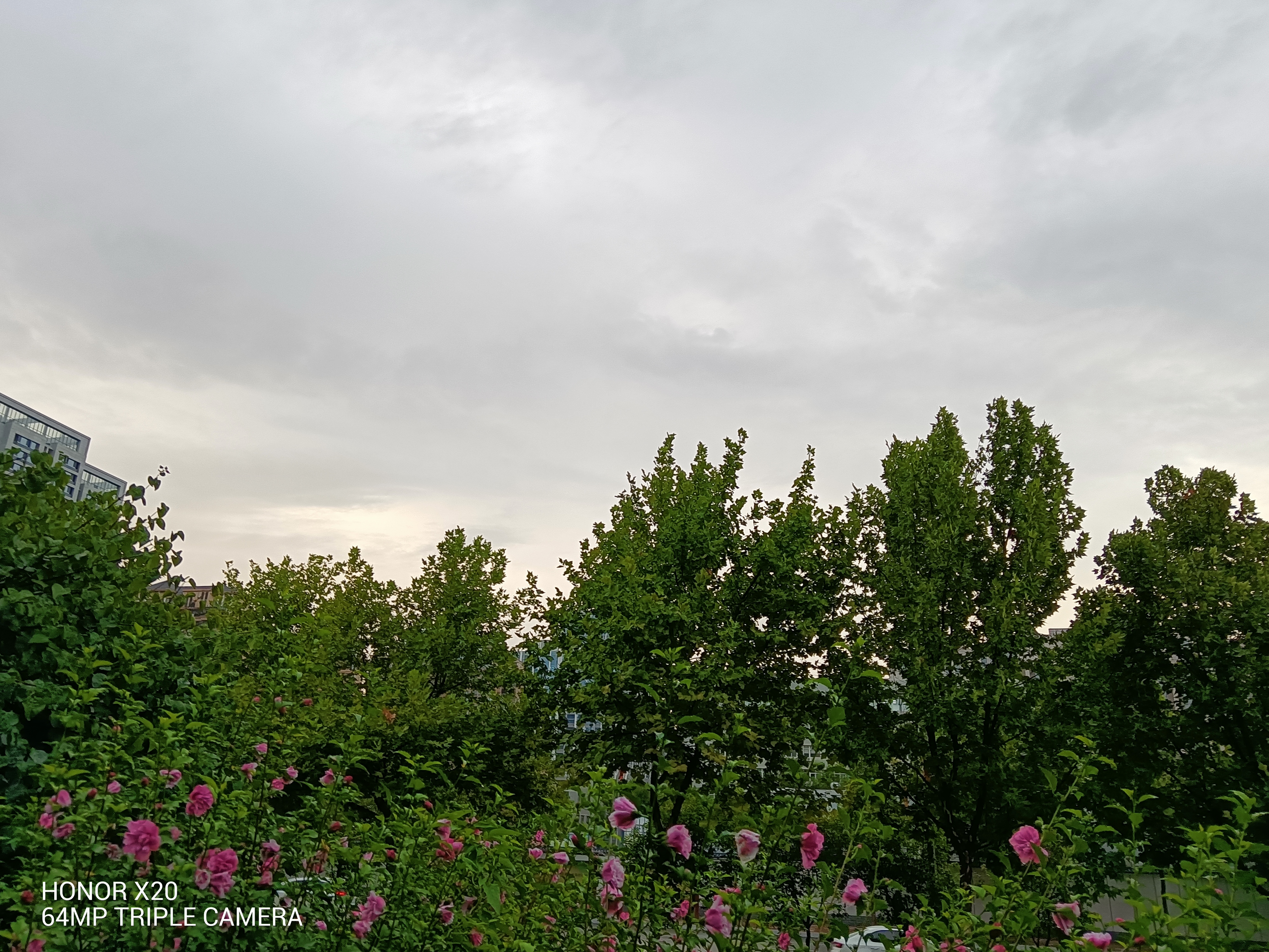 IMG_20210822_191050.jpg