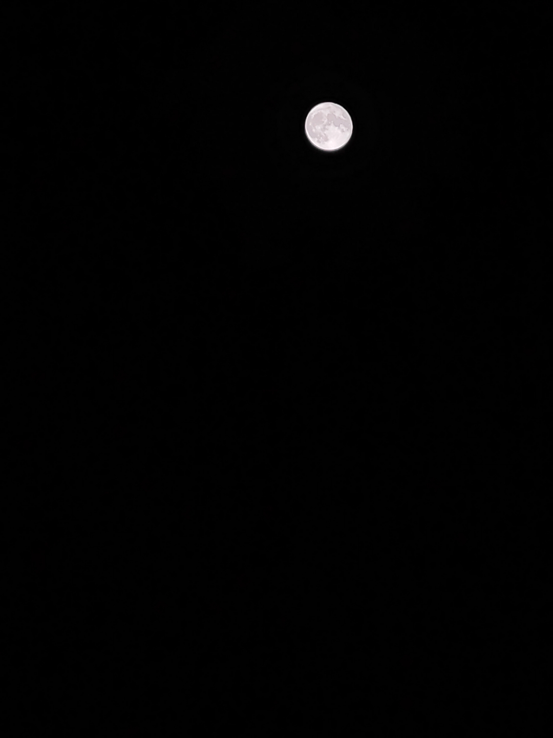 IMG_20210823_233859.jpg