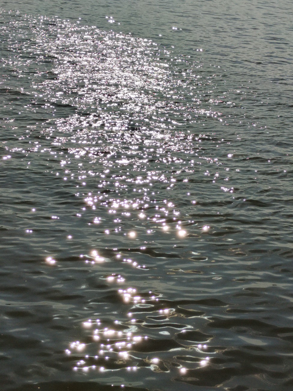 IMG_20210822_153824.jpg