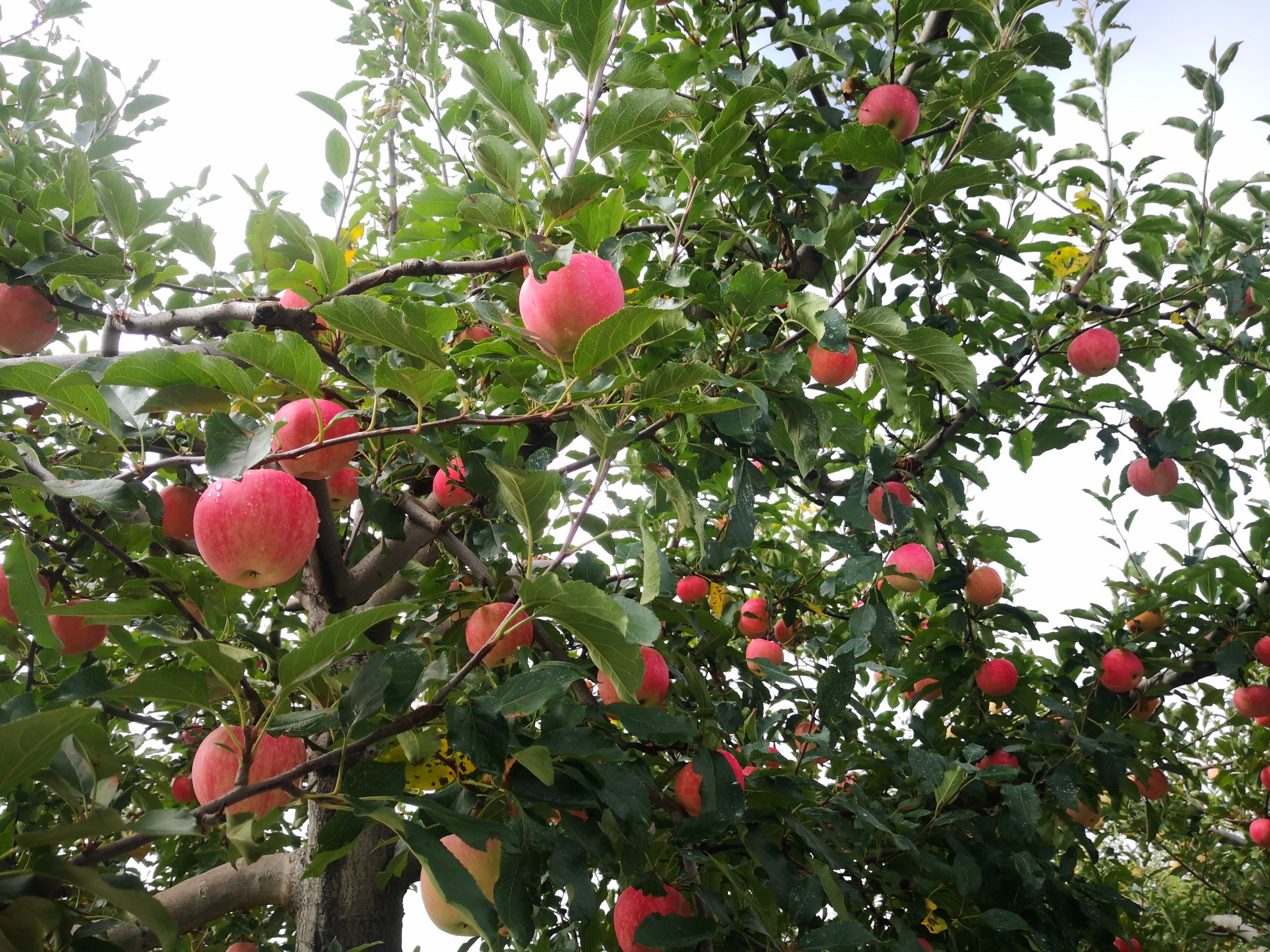 IMG_20210820_095343.jpg