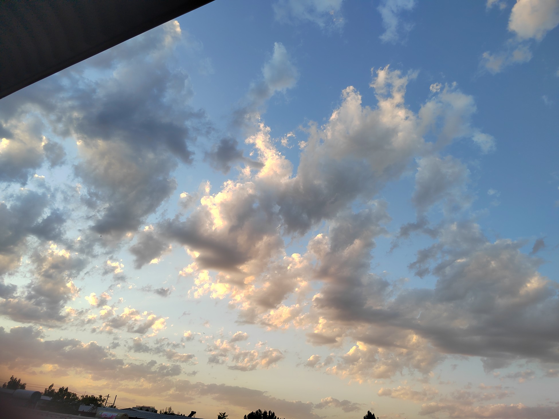 IMG_20210824_184749.jpg