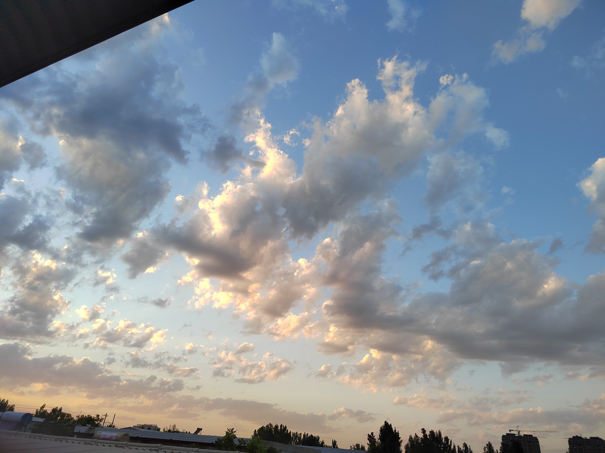 IMG_20210824_184742.jpg