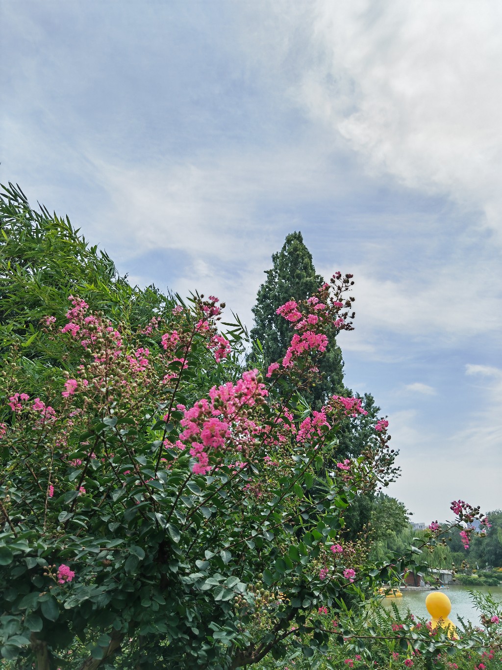 IMG_20210823_123627.jpg