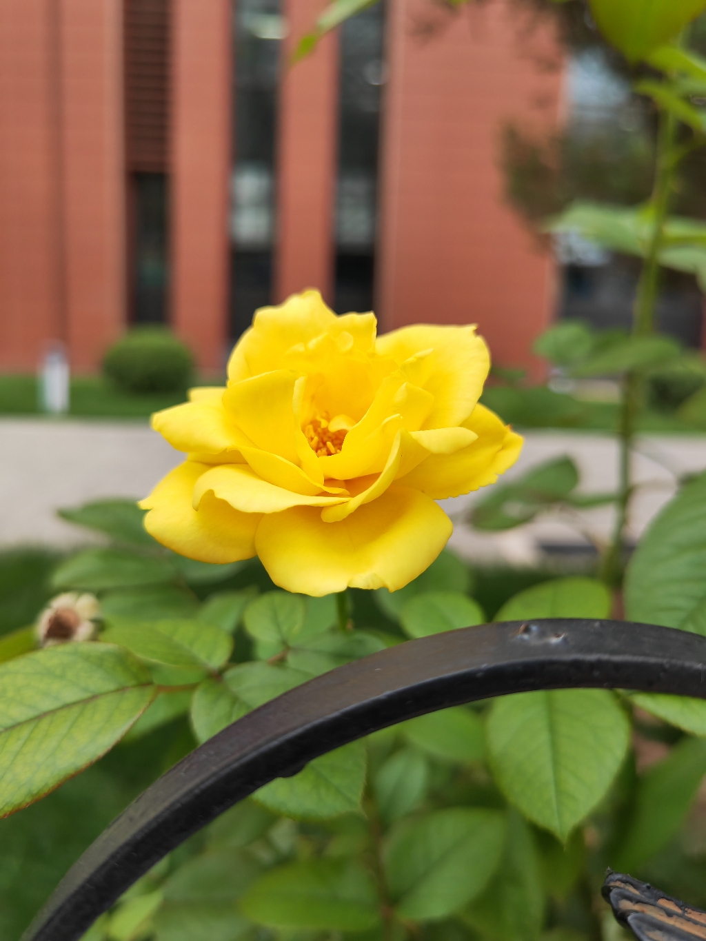 IMG_20210822_084904.jpg