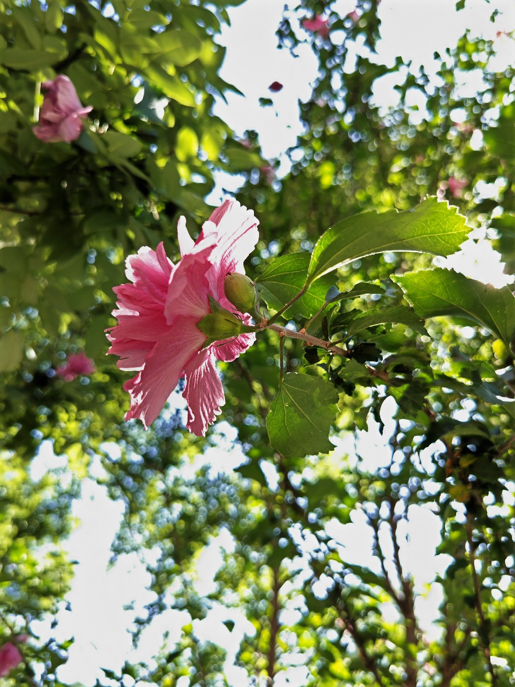 IMG_20210821_093913.jpg