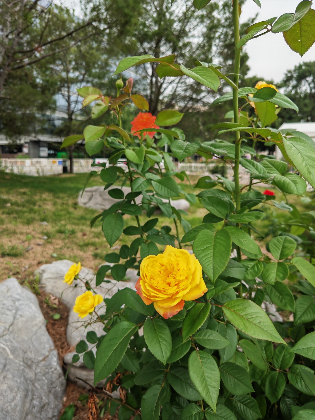 IMG_20210822_091843.jpg