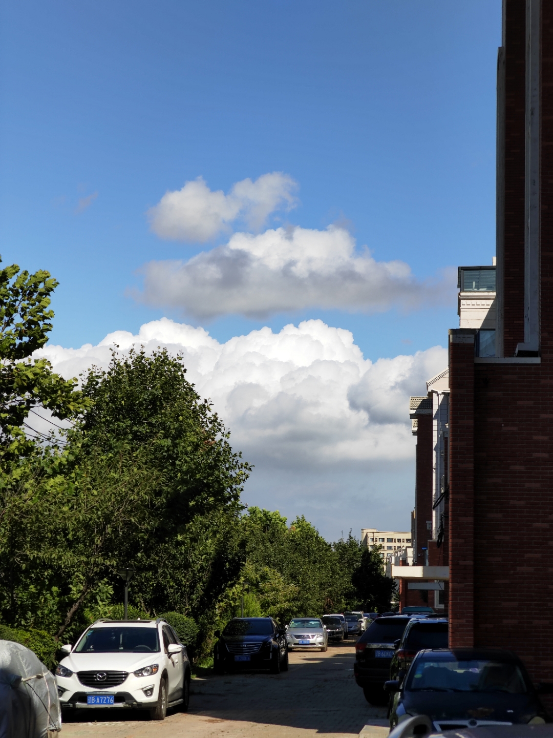 IMG_20210824_143933.jpg