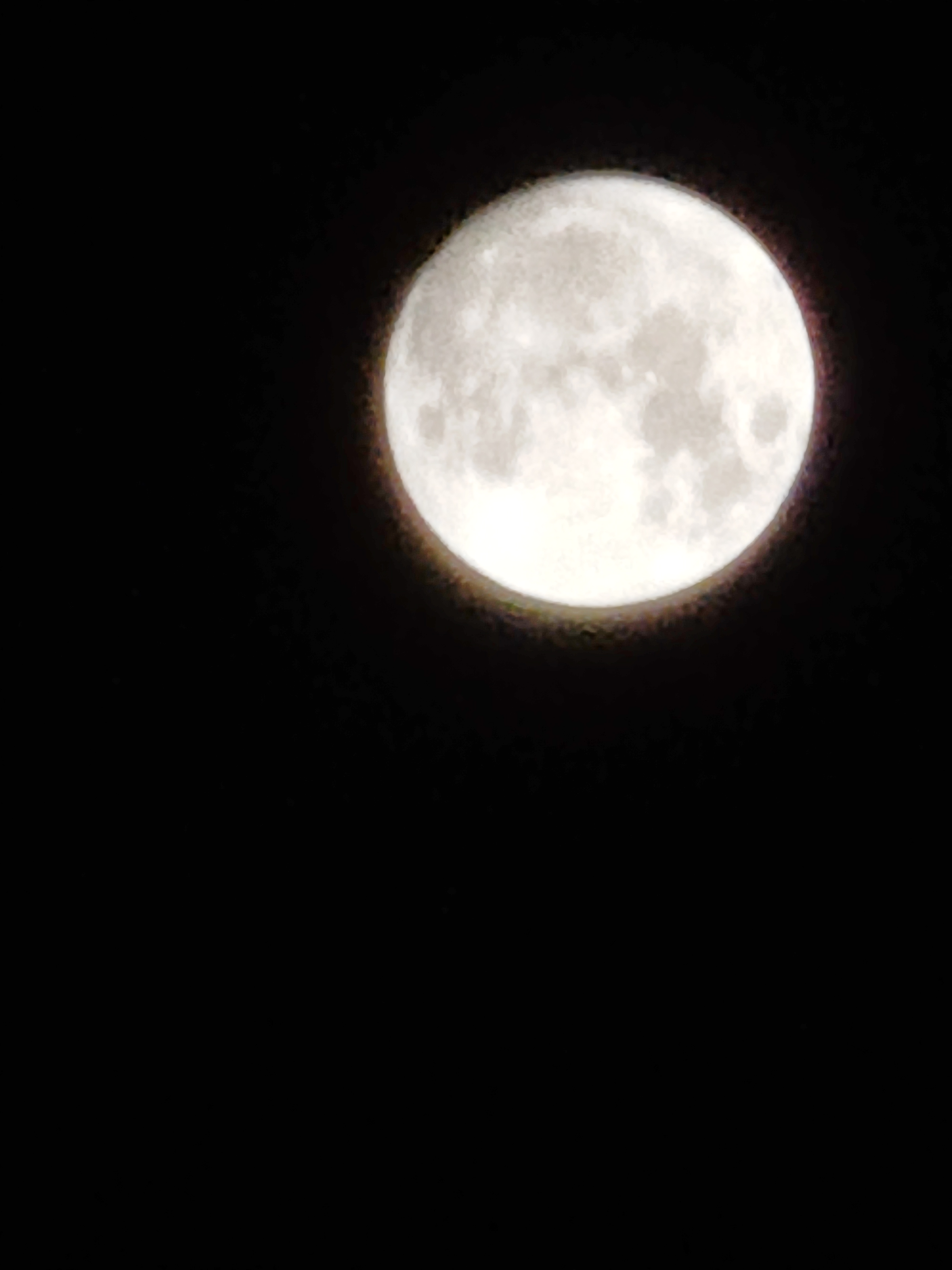 IMG_20210821_234951.jpg