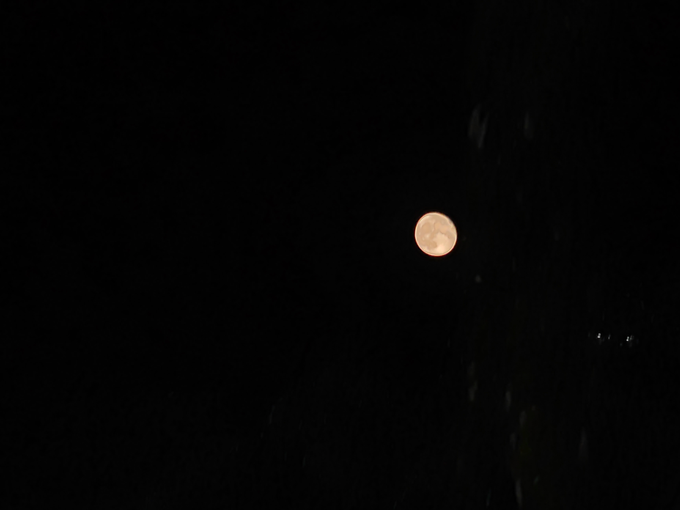IMG_20210824_210803.jpg