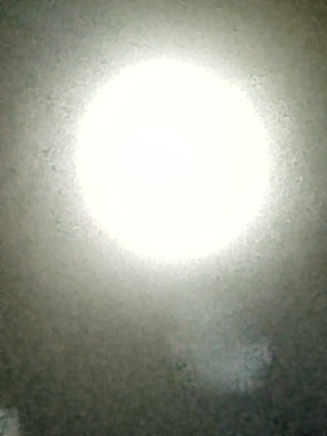 IMG_20210826_002457.jpg
