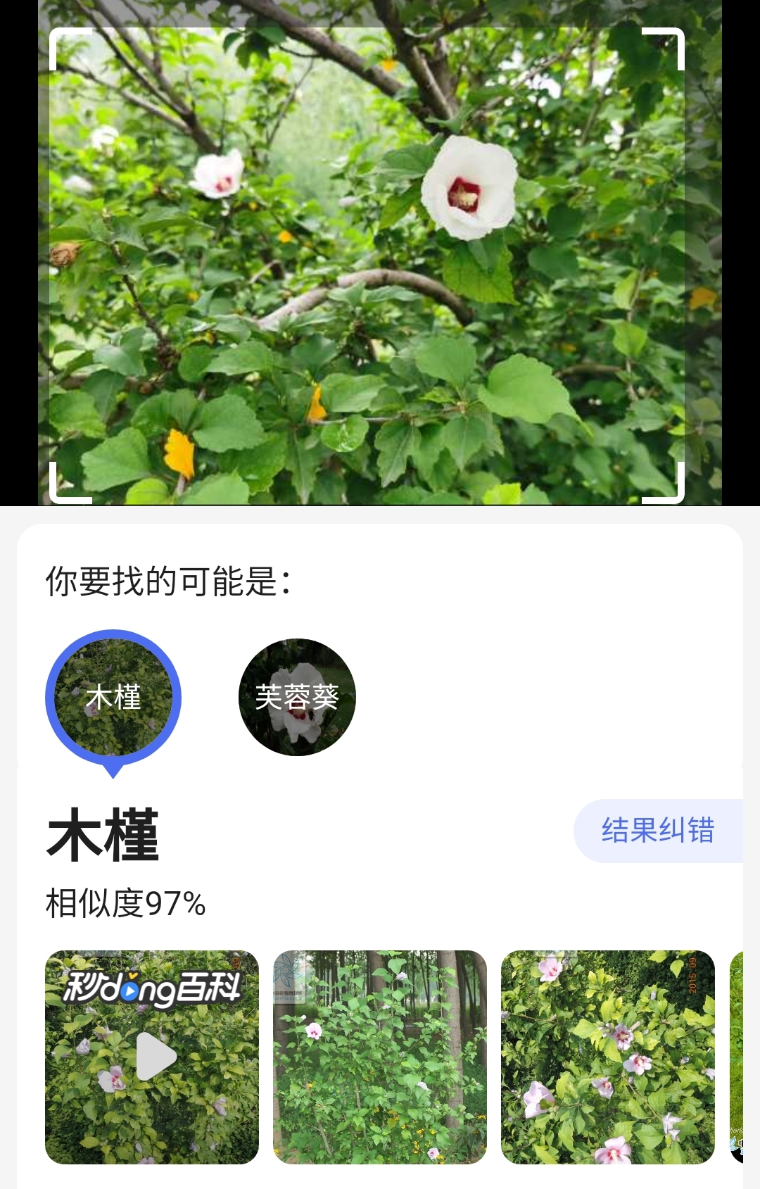 Screenshot_20210823_210523.jpg