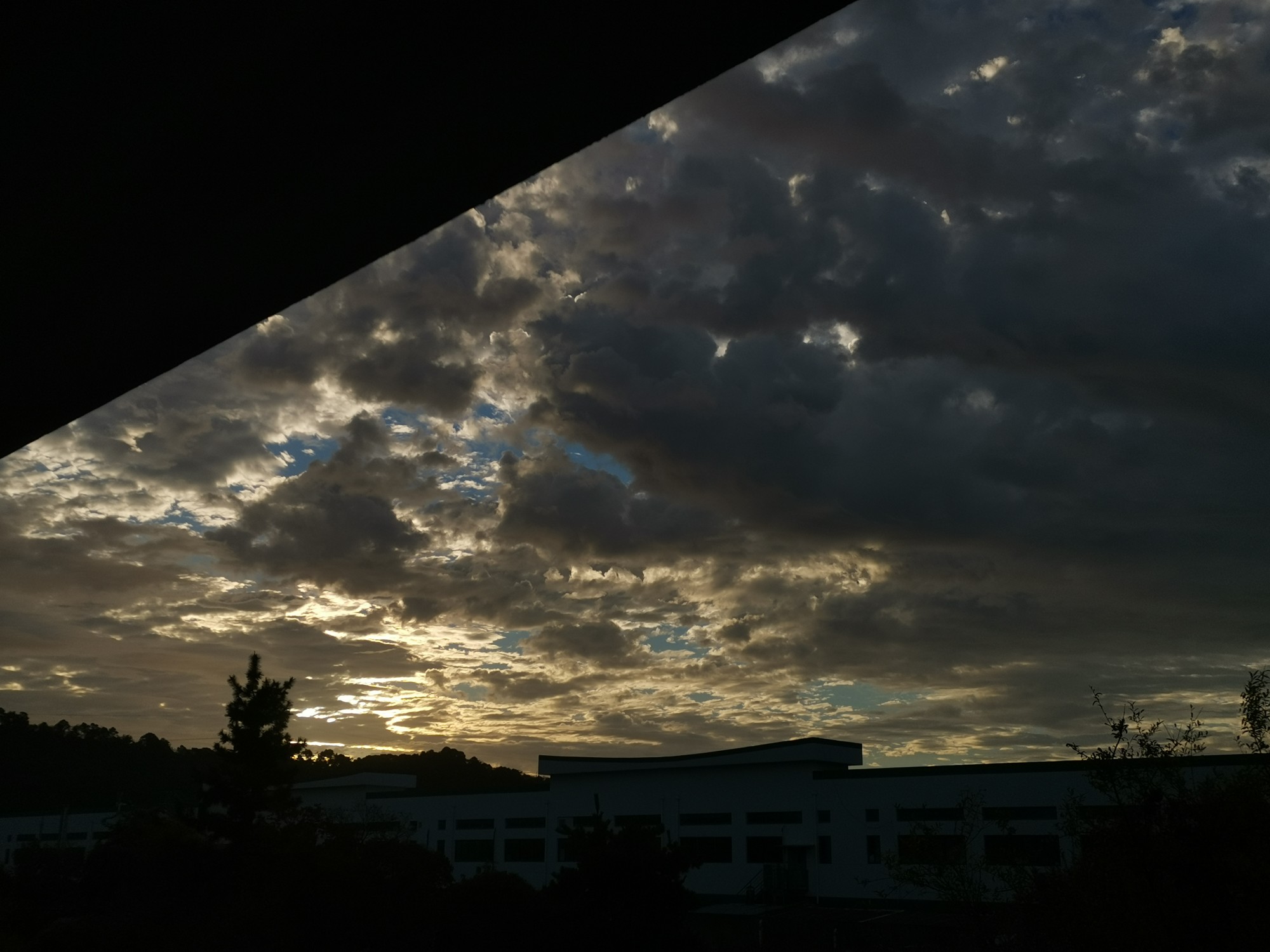 IMG_20201118_065956.jpg