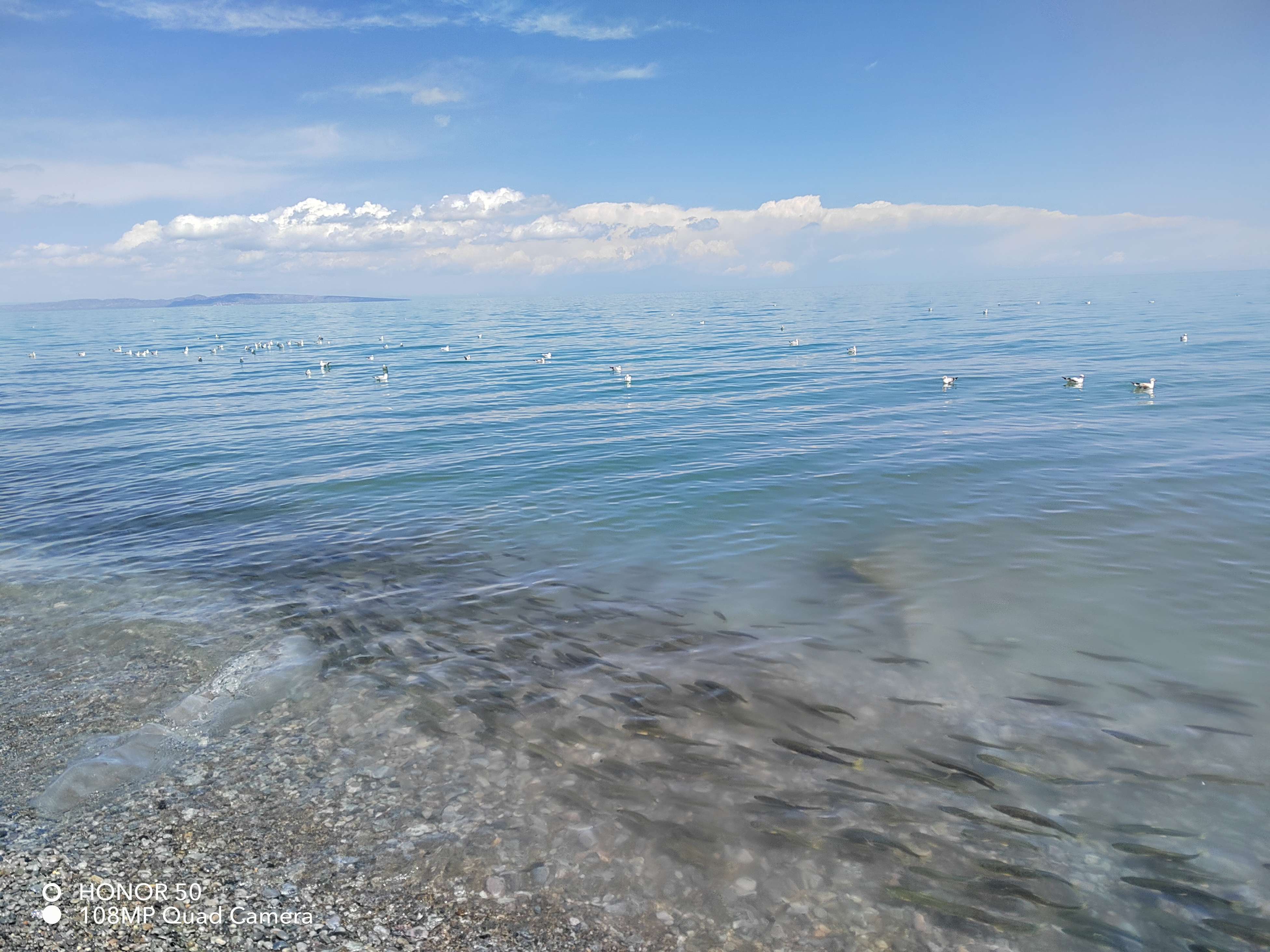 IMG_20210827_131656.jpg