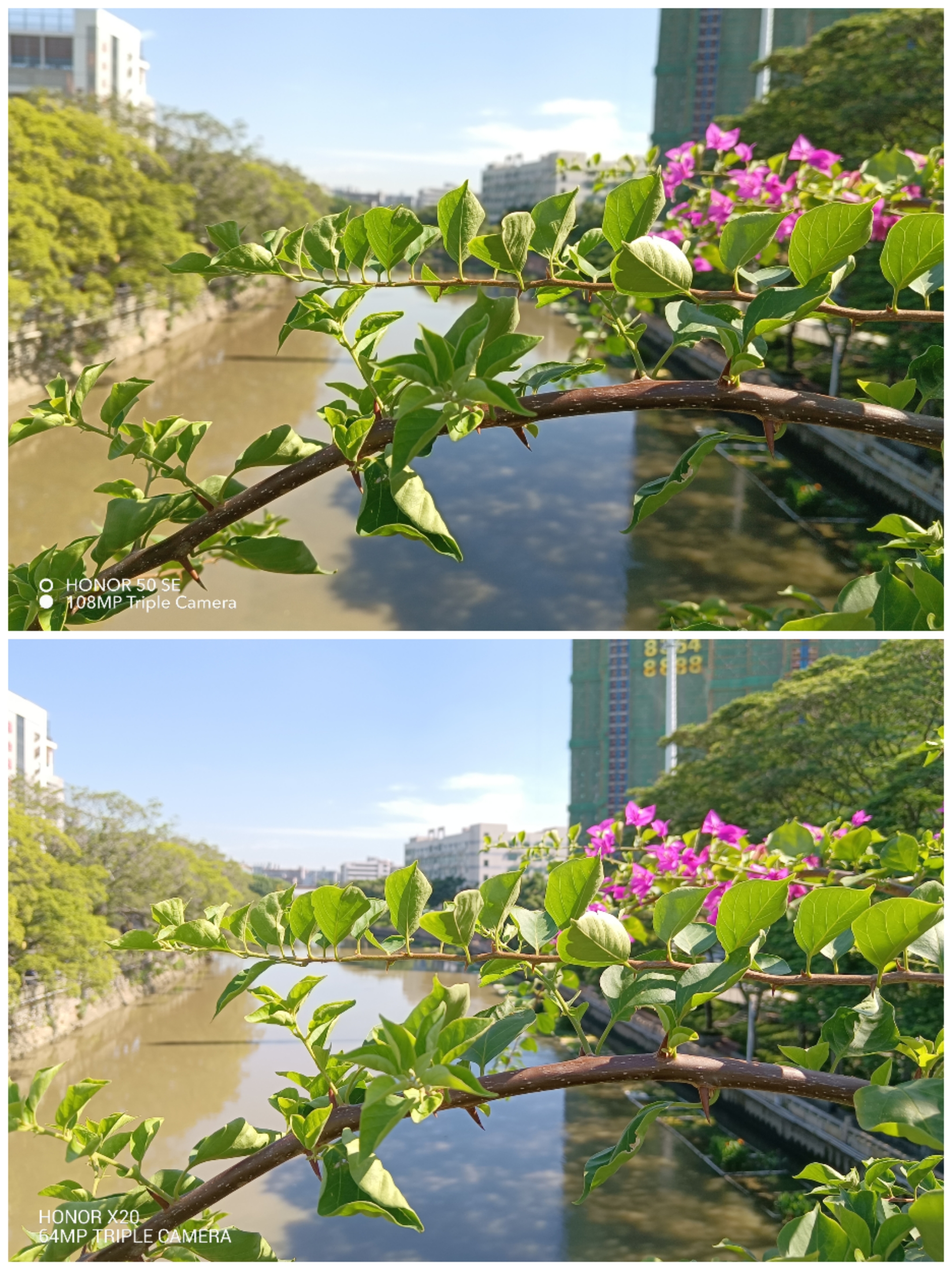 Collage_20210828_113706.jpg