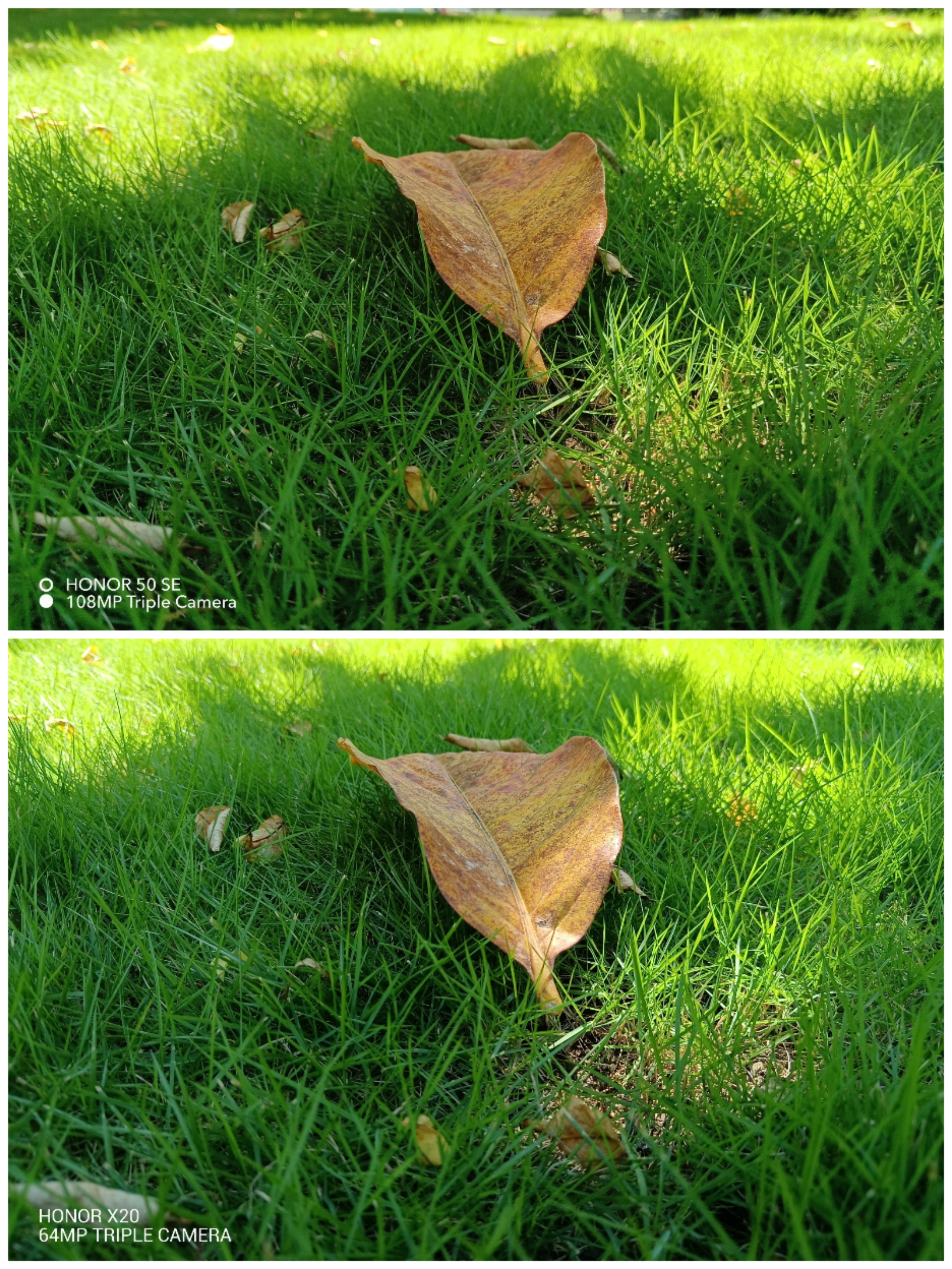 Collage_20210828_113830.jpg
