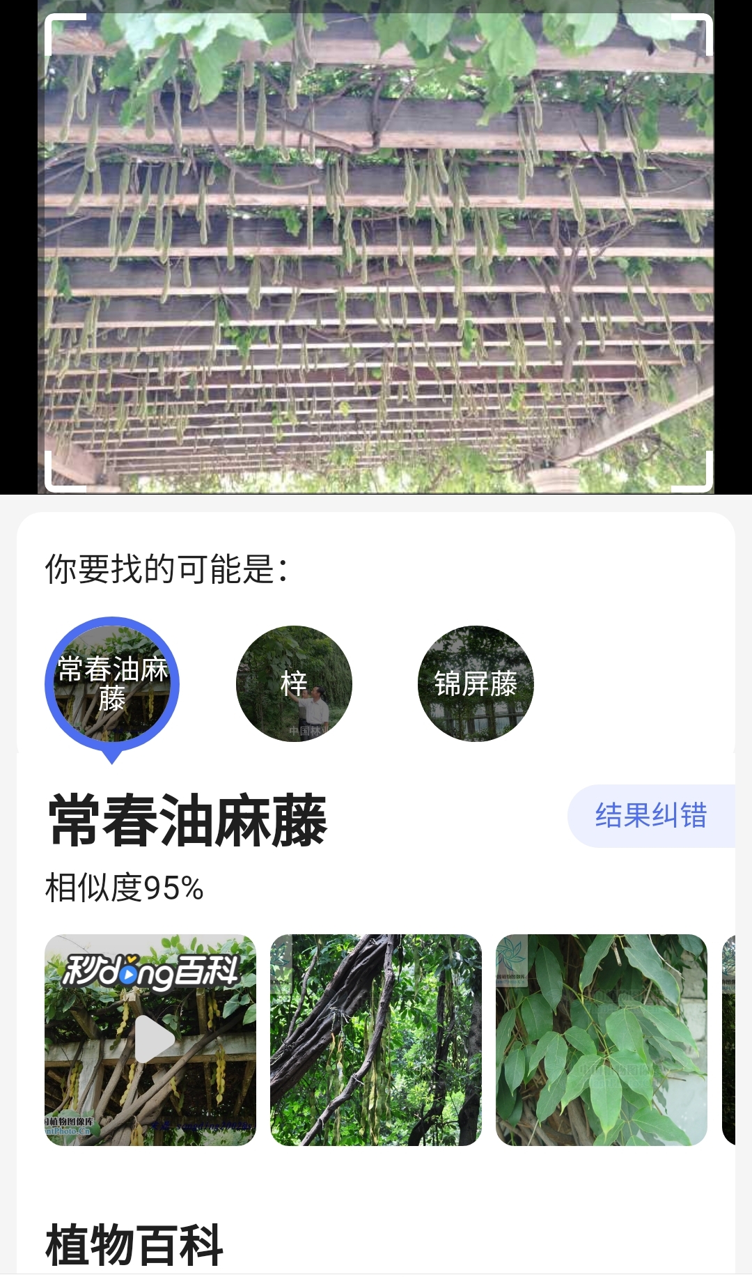 Screenshot_20210823_204448.jpg