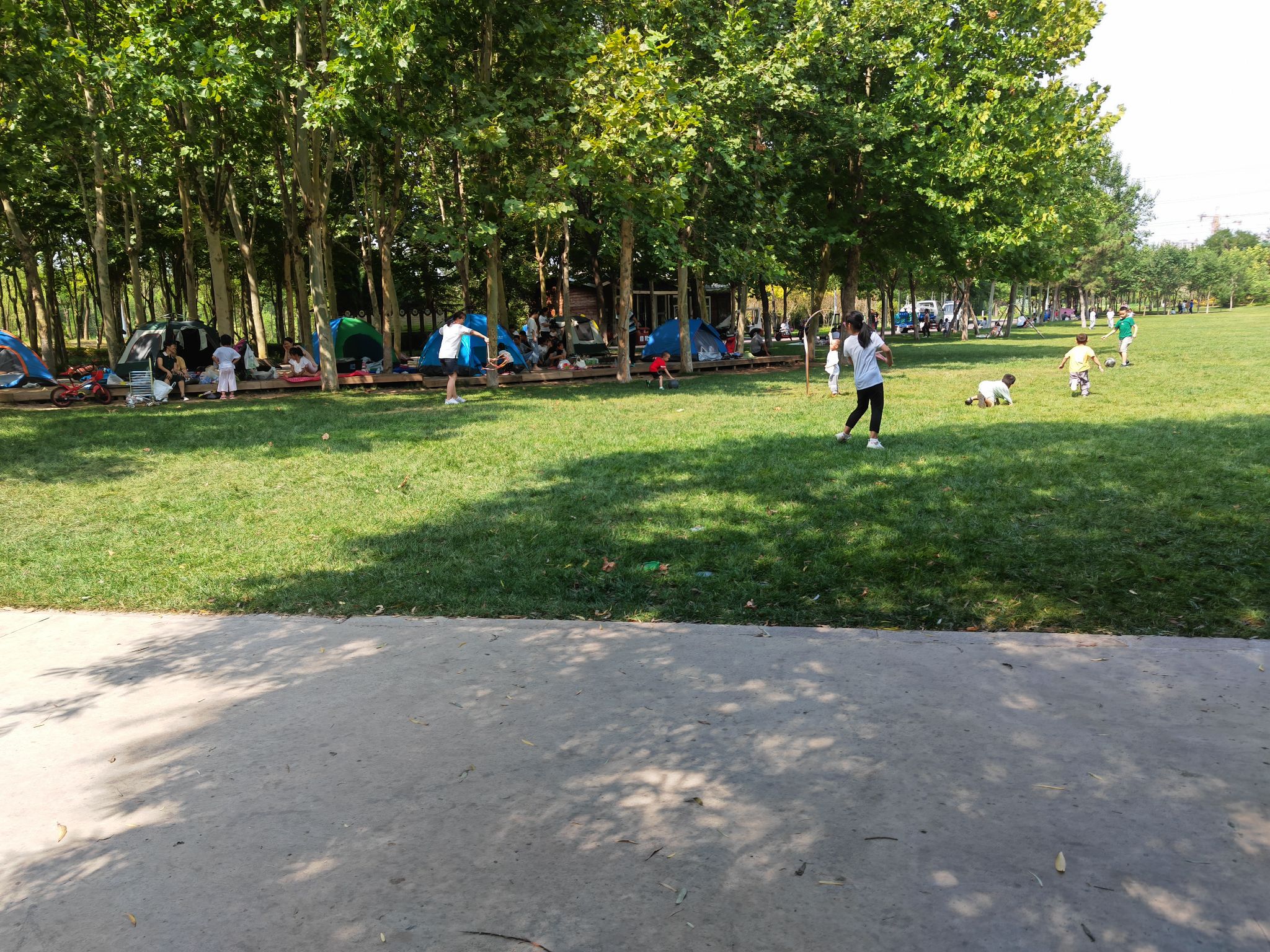 IMG_20210828_135657.jpg