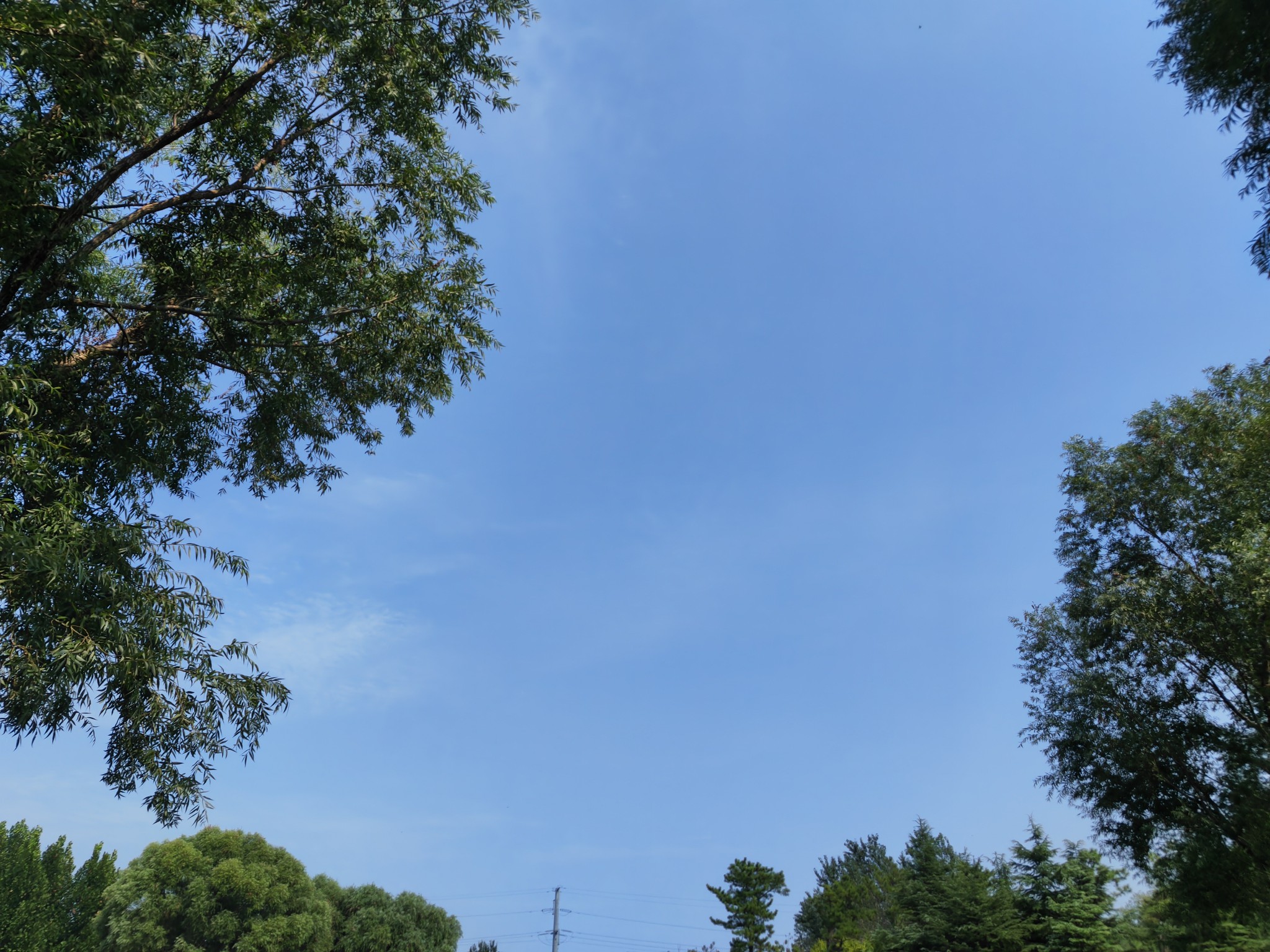 IMG_20210828_140825.jpg