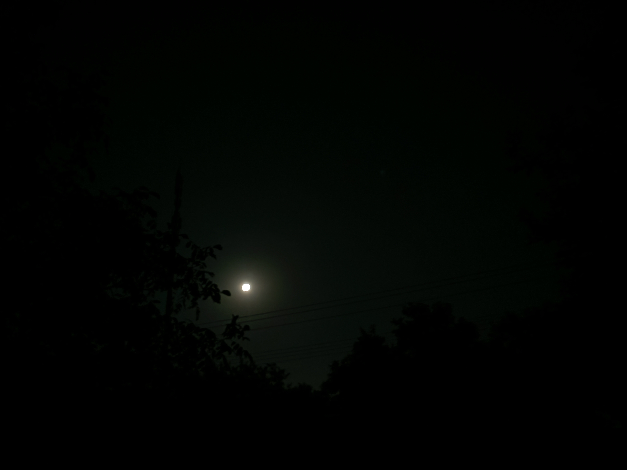 IMG_20210820_202116.jpg