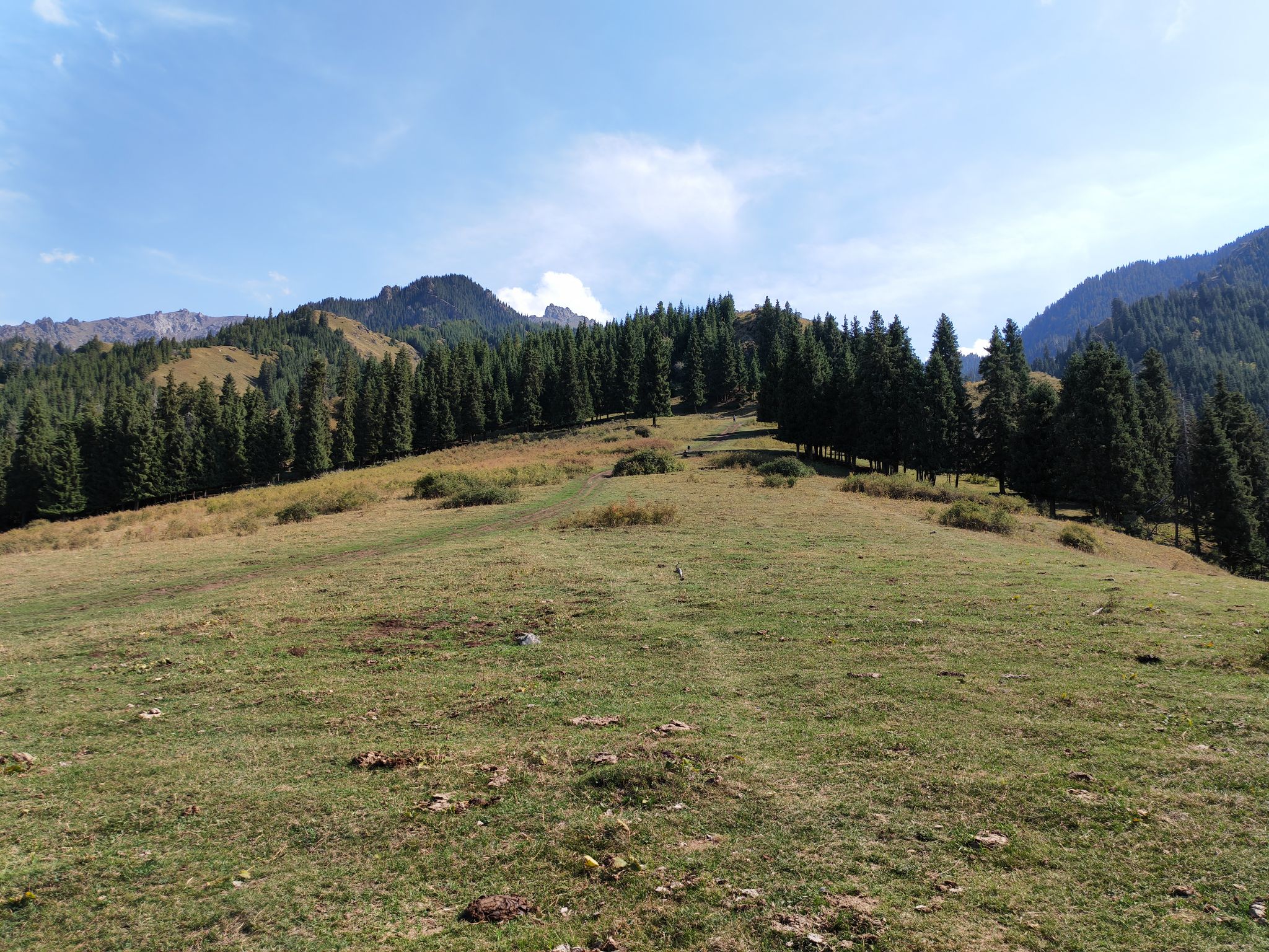 IMG_20210828_164530.jpg