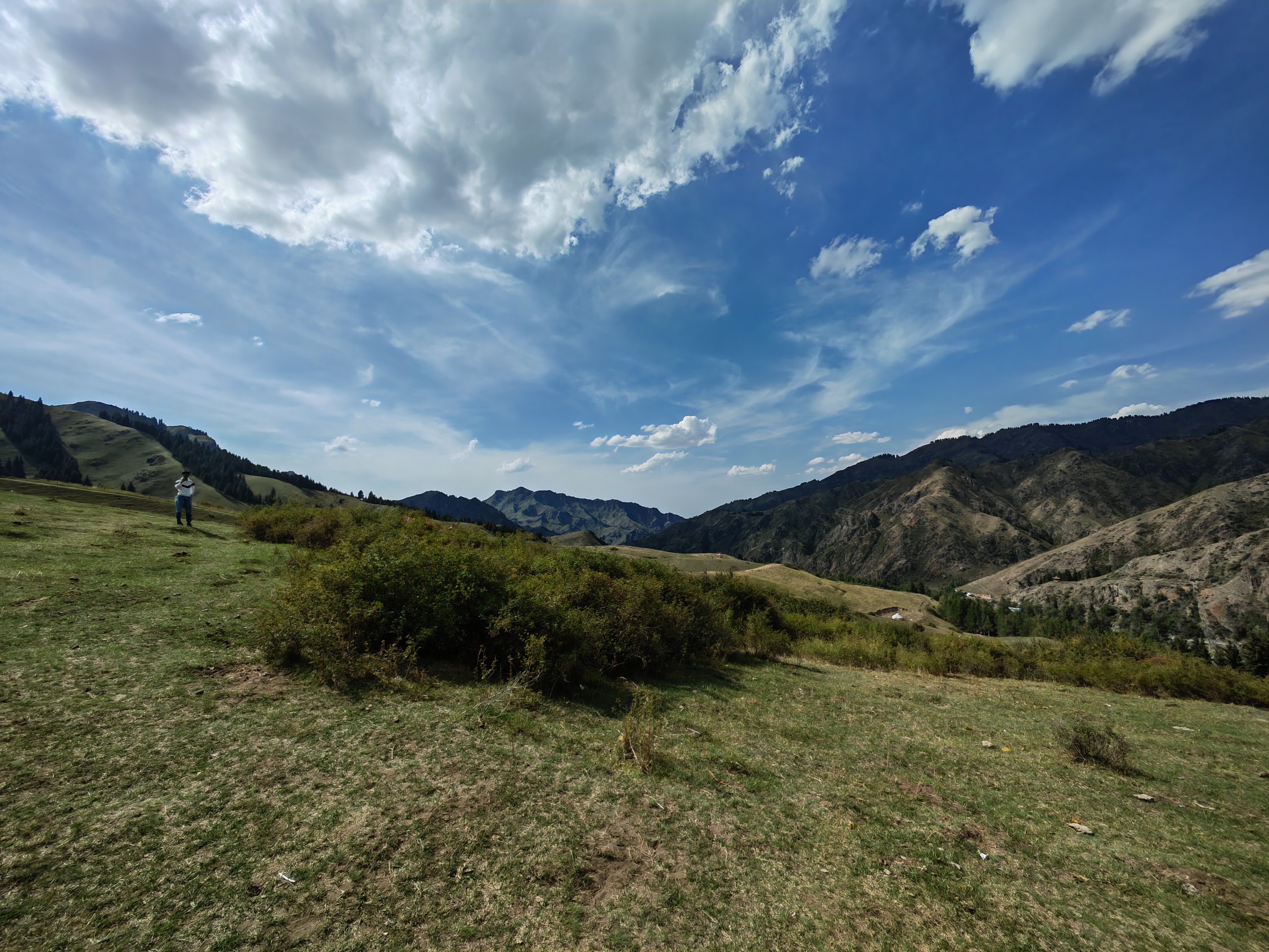 IMG_20210828_161653.jpg